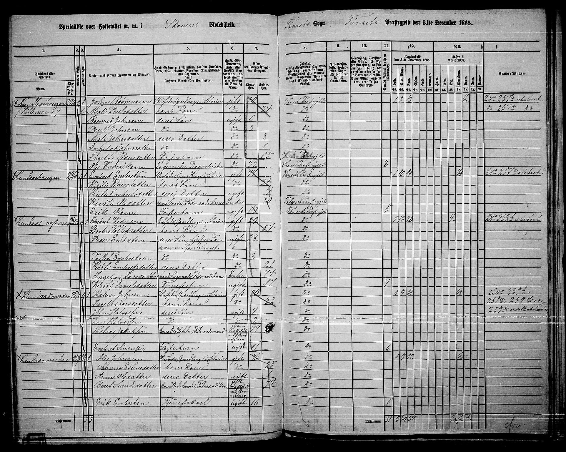 RA, 1865 census for Tynset, 1865, p. 107