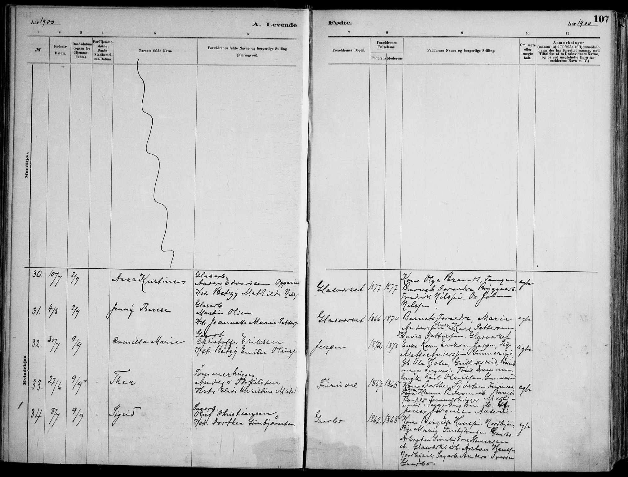 Skoger kirkebøker, AV/SAKO-A-59/F/Fa/L0006: Parish register (official) no. I 6, 1885-1910, p. 107