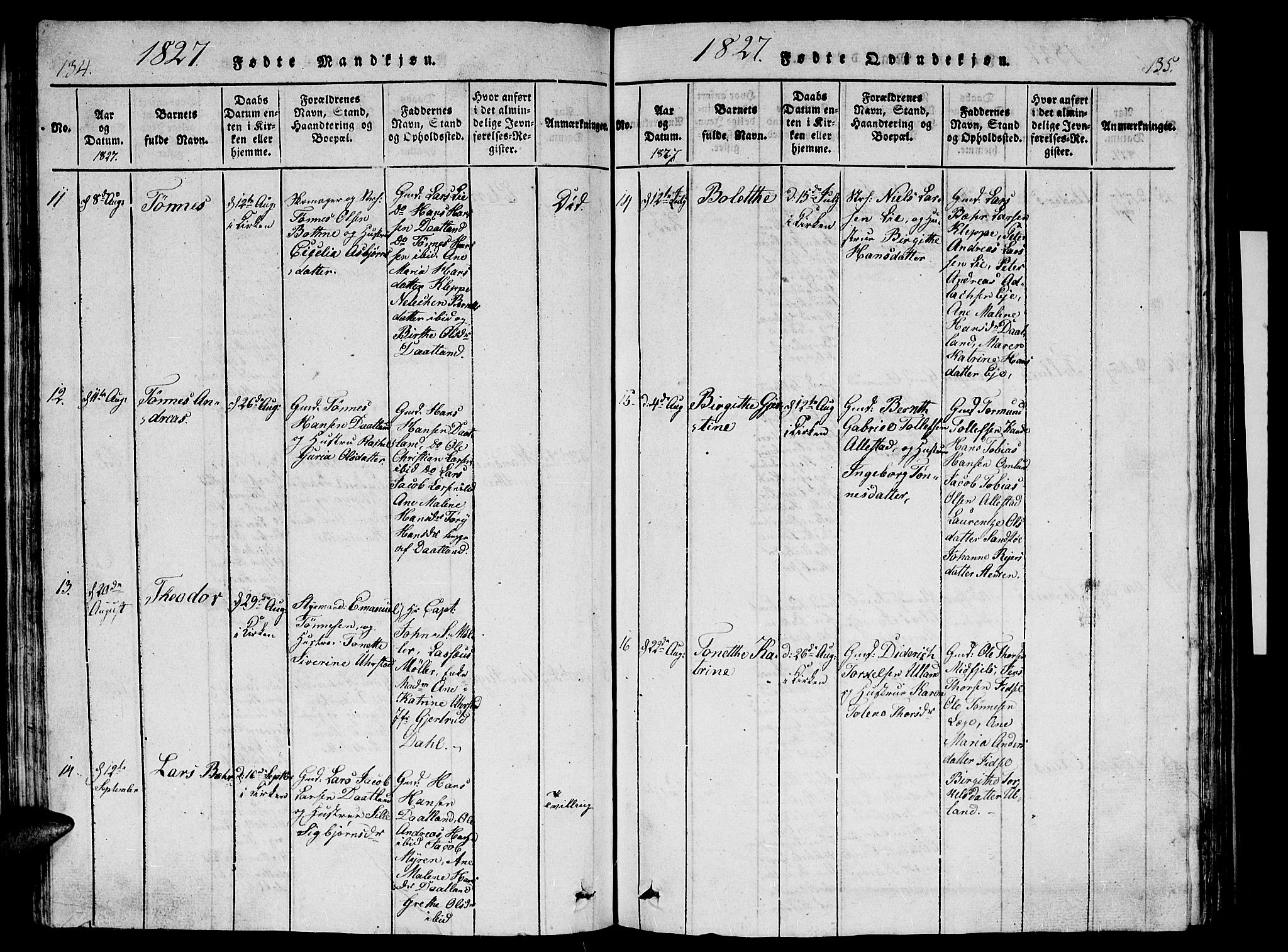 Flekkefjord sokneprestkontor, AV/SAK-1111-0012/F/Fb/Fbb/L0001: Parish register (copy) no. B 1, 1815-1830, p. 134-135