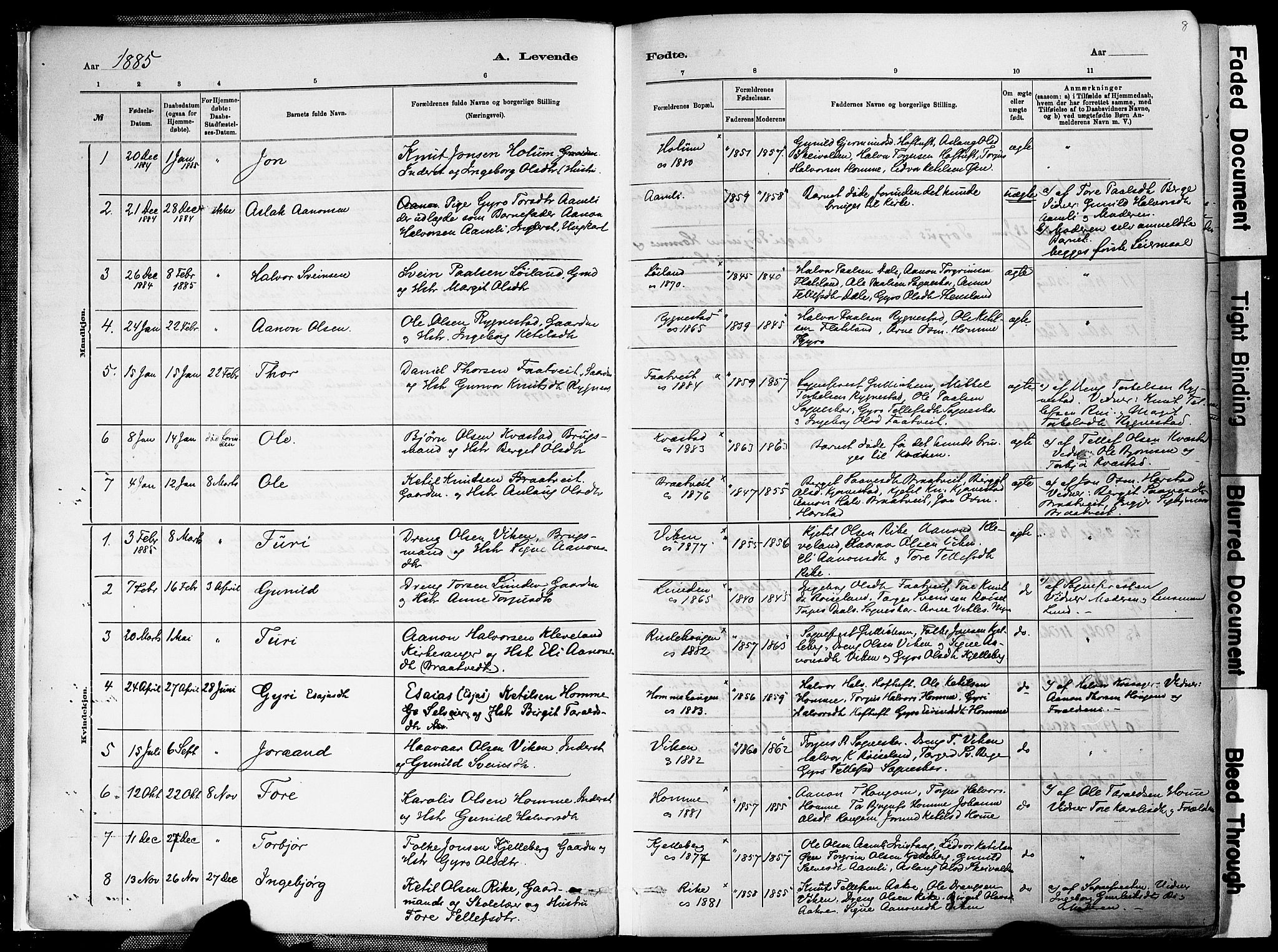 Valle sokneprestkontor, SAK/1111-0044/F/Fa/Fac/L0009: Parish register (official) no. A 9, 1882-1913, p. 8