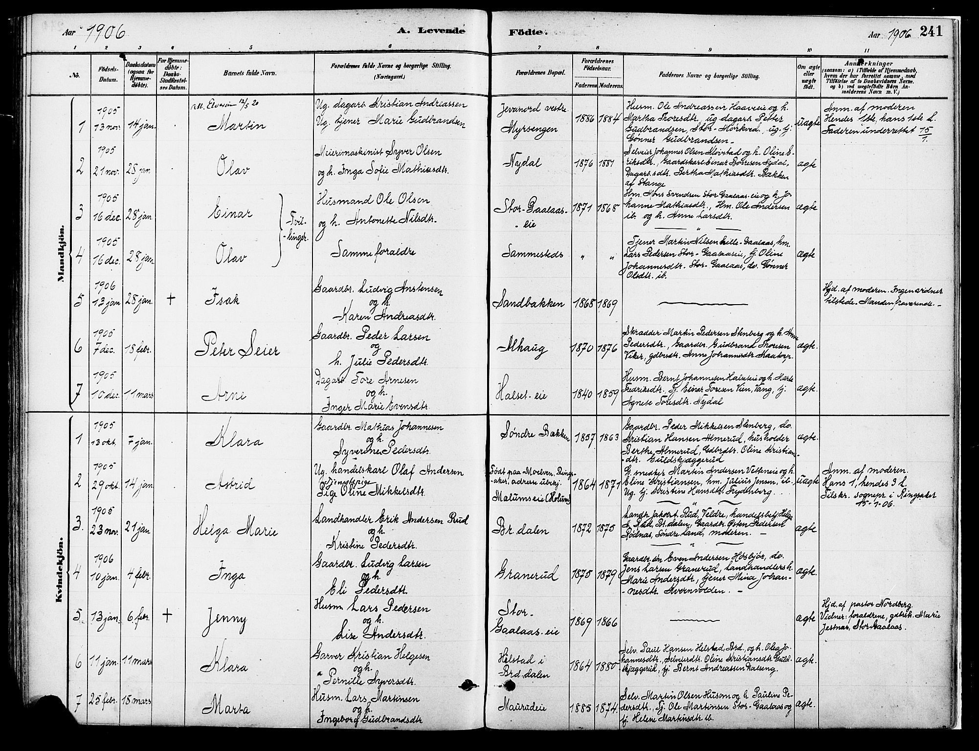 Vang prestekontor, Hedmark, SAH/PREST-008/H/Ha/Haa/L0018A: Parish register (official) no. 18A, 1880-1906, p. 241