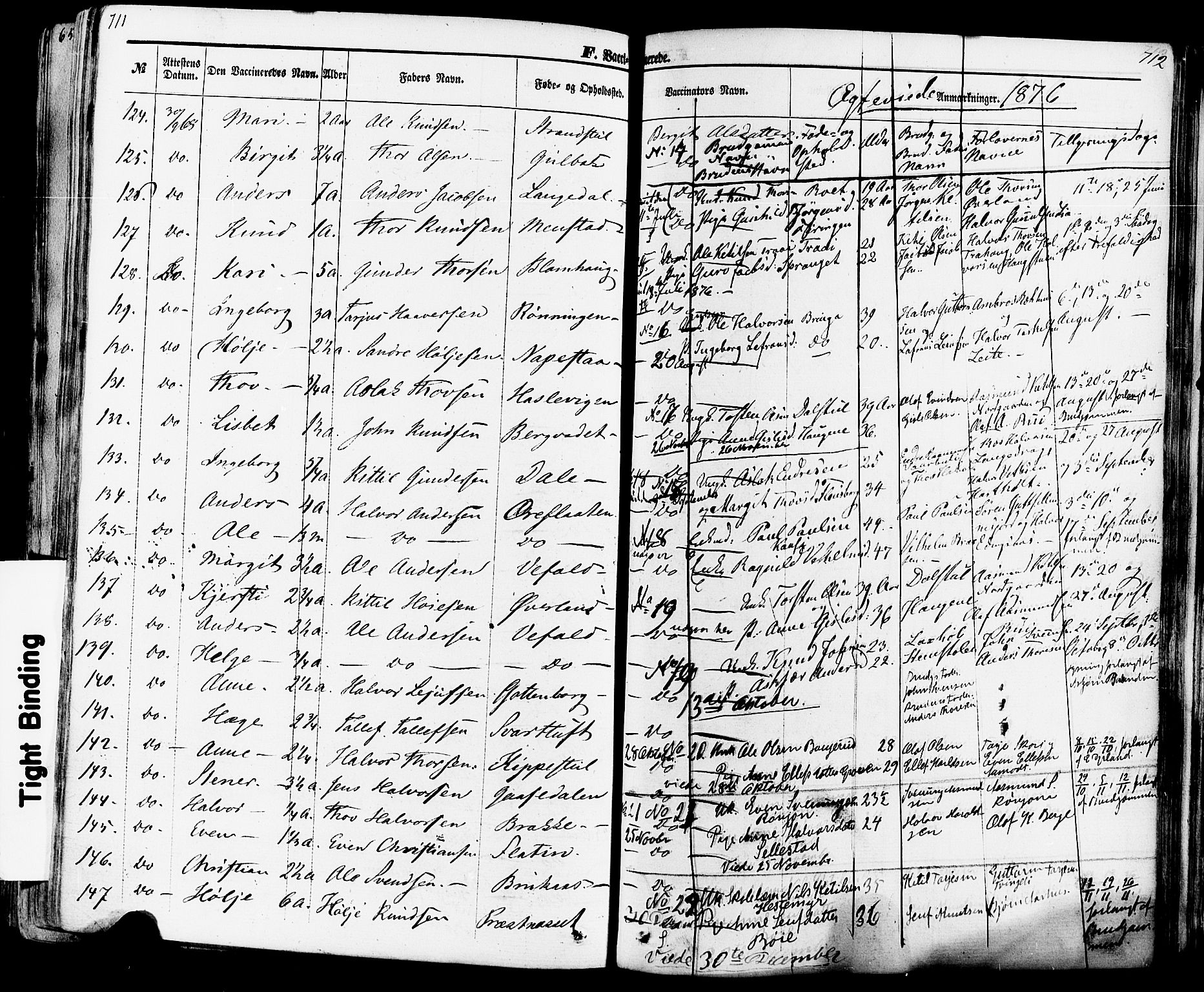 Seljord kirkebøker, AV/SAKO-A-20/F/Fa/L0013: Parish register (official) no. I 13, 1866-1876, p. 711-712