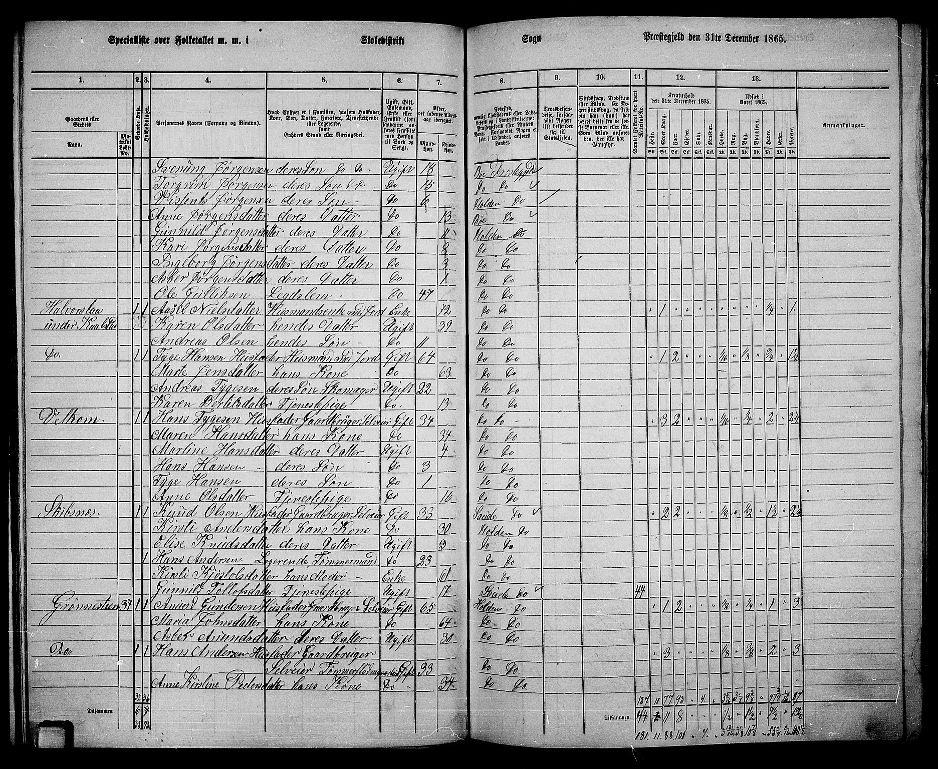 RA, 1865 census for Holla, 1865, p. 96