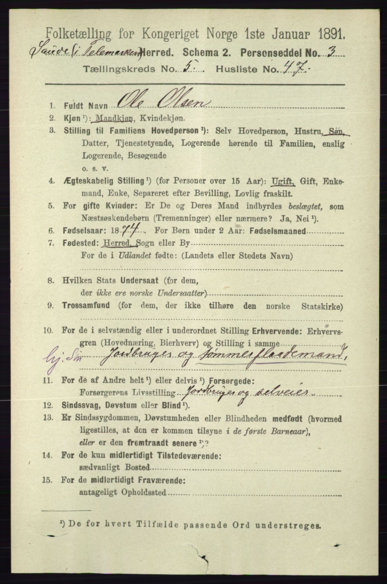 RA, 1891 census for 0822 Sauherad, 1891, p. 1668