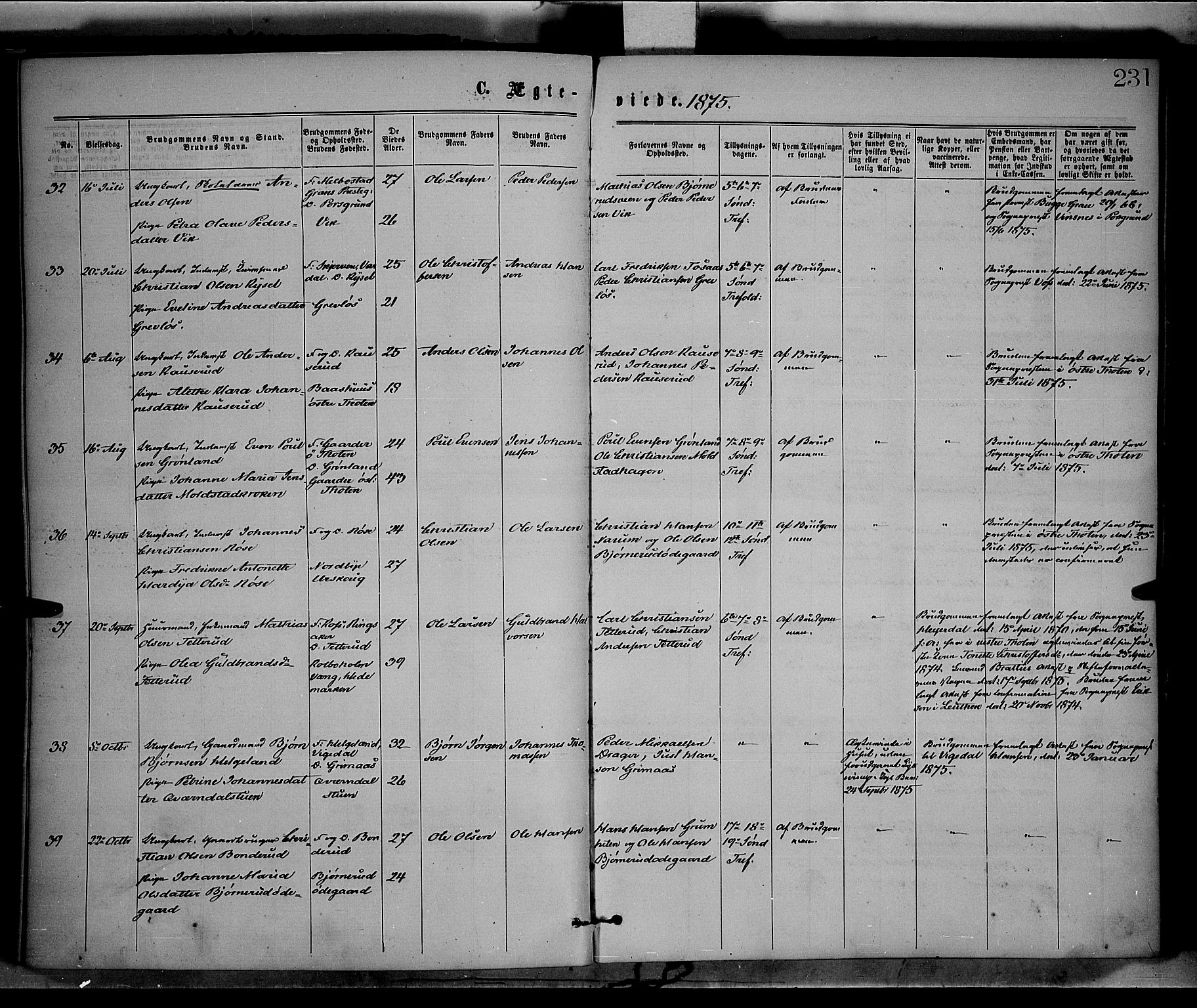 Vestre Toten prestekontor, AV/SAH-PREST-108/H/Ha/Haa/L0008: Parish register (official) no. 8, 1870-1877, p. 231