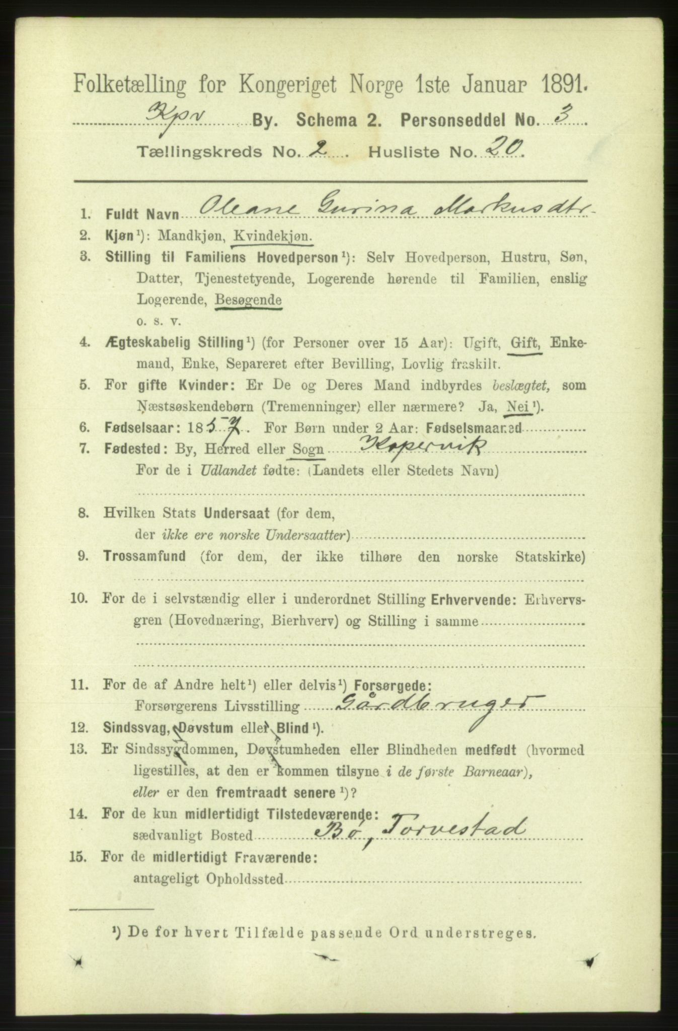 RA, 1891 census for 1105 Kopervik, 1891, p. 236