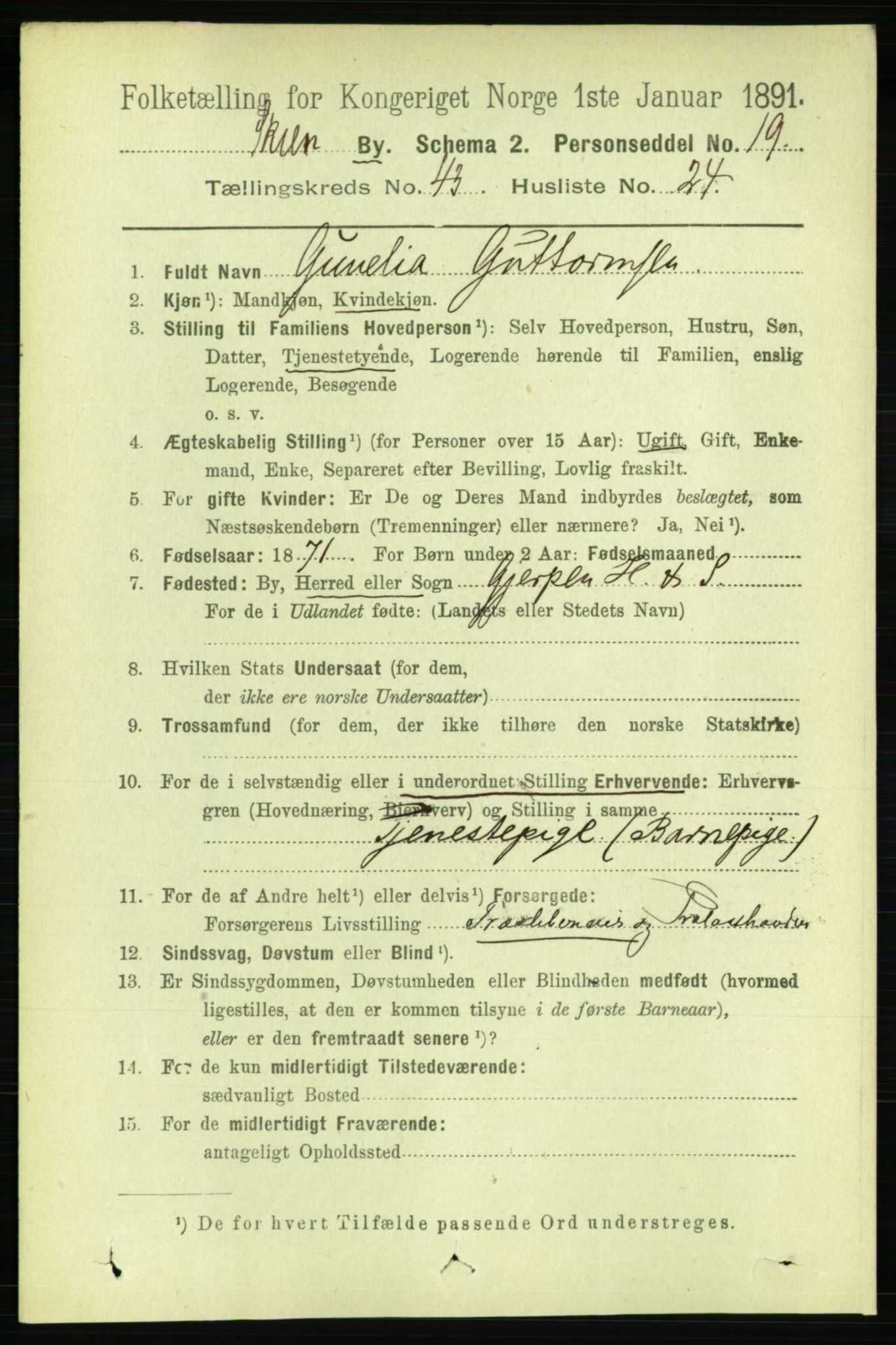 RA, 1891 census for 0806 Skien, 1891, p. 8765