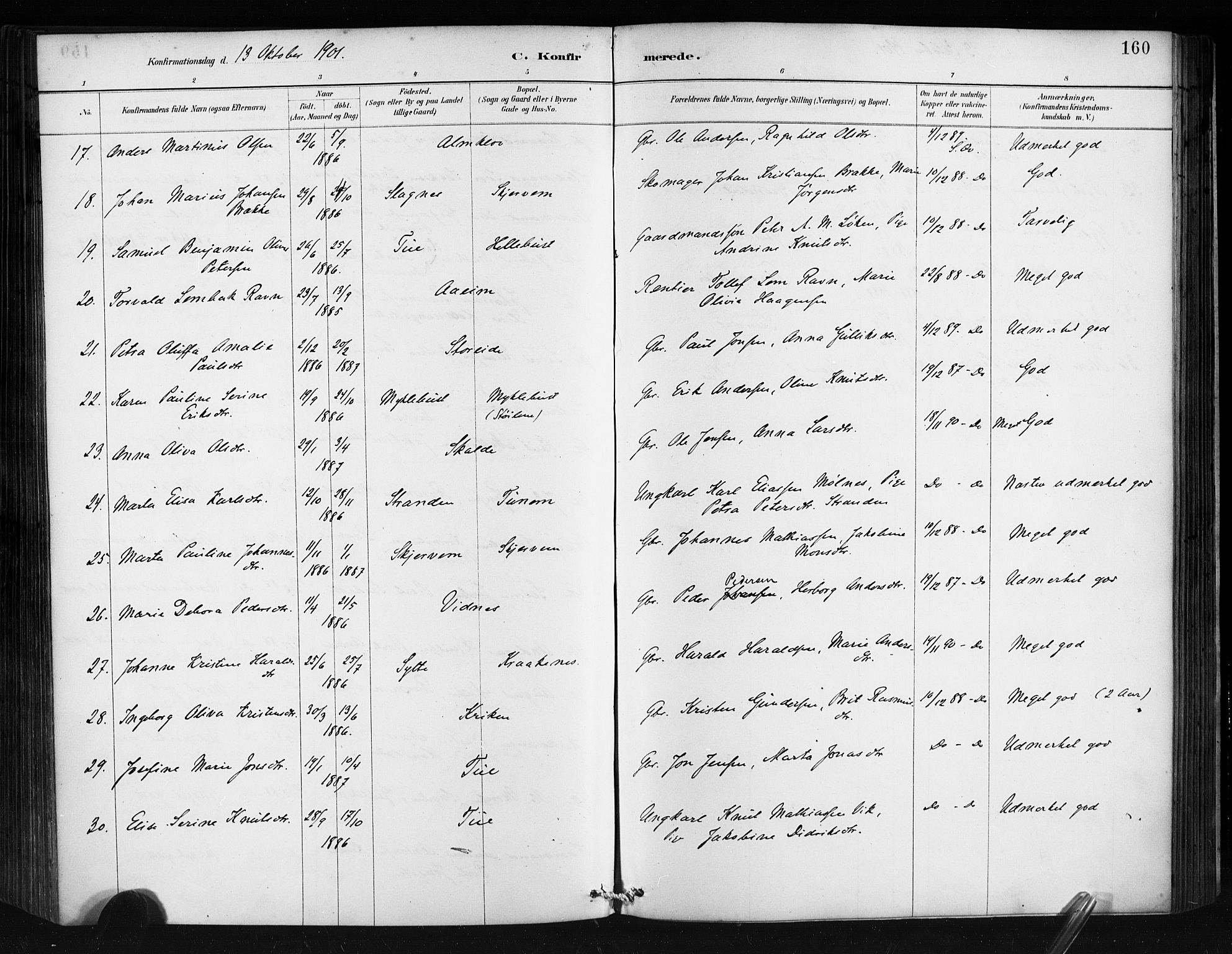 Ministerialprotokoller, klokkerbøker og fødselsregistre - Møre og Romsdal, AV/SAT-A-1454/501/L0008: Parish register (official) no. 501A08, 1885-1901, p. 160