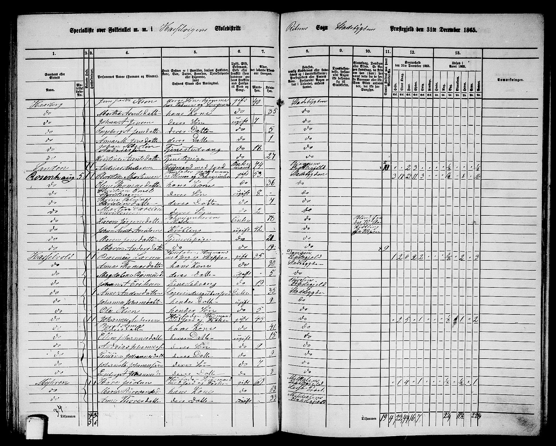 RA, 1865 census for Stadsbygd, 1865, p. 82