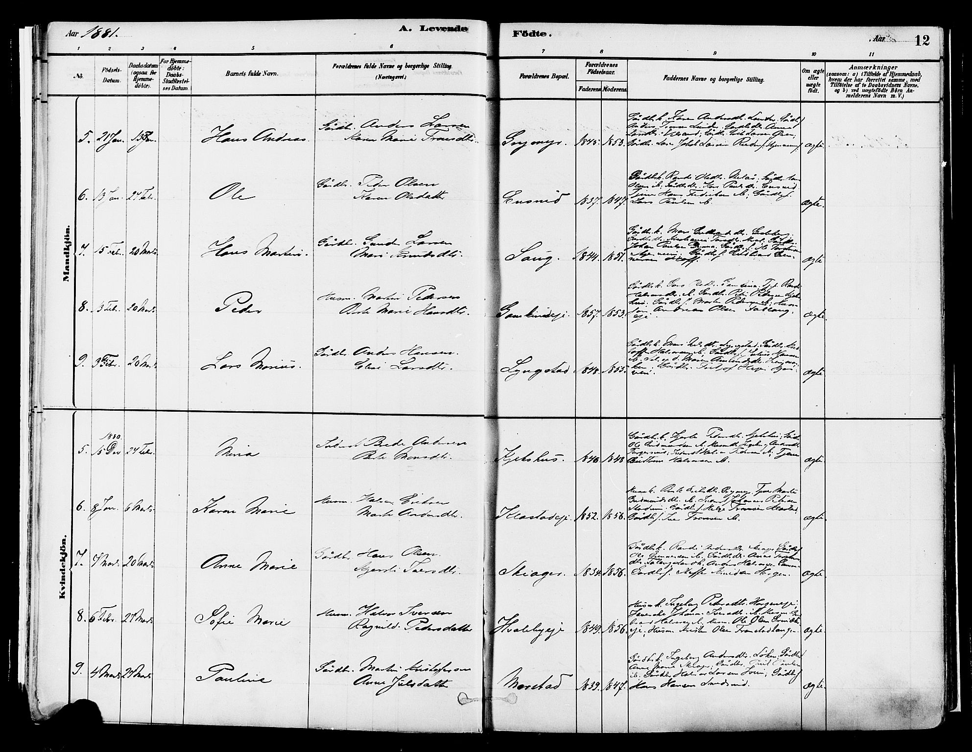 Gran prestekontor, AV/SAH-PREST-112/H/Ha/Haa/L0014: Parish register (official) no. 14, 1880-1889, p. 12