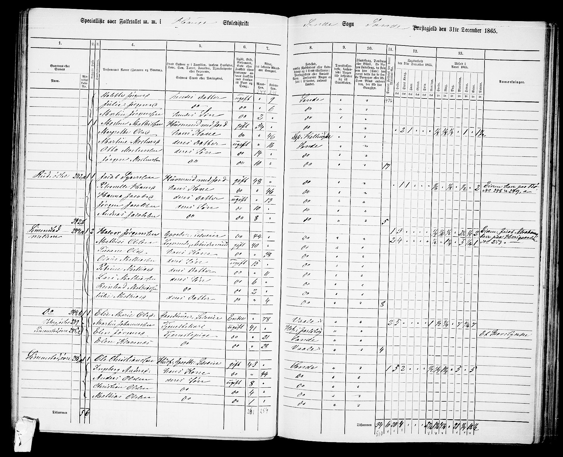 RA, 1865 census for Sande, 1865, p. 51