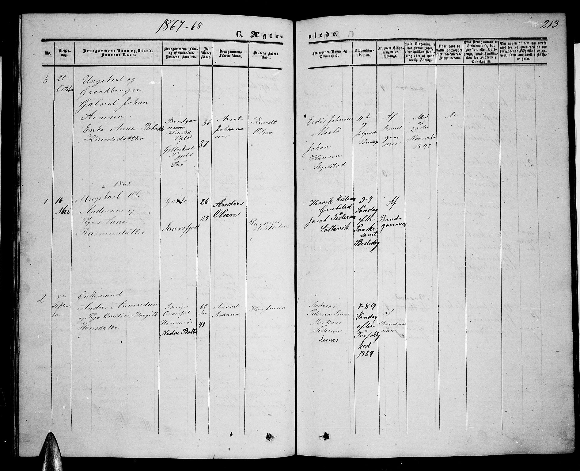 Ministerialprotokoller, klokkerbøker og fødselsregistre - Nordland, AV/SAT-A-1459/857/L0827: Parish register (copy) no. 857C02, 1852-1879, p. 213