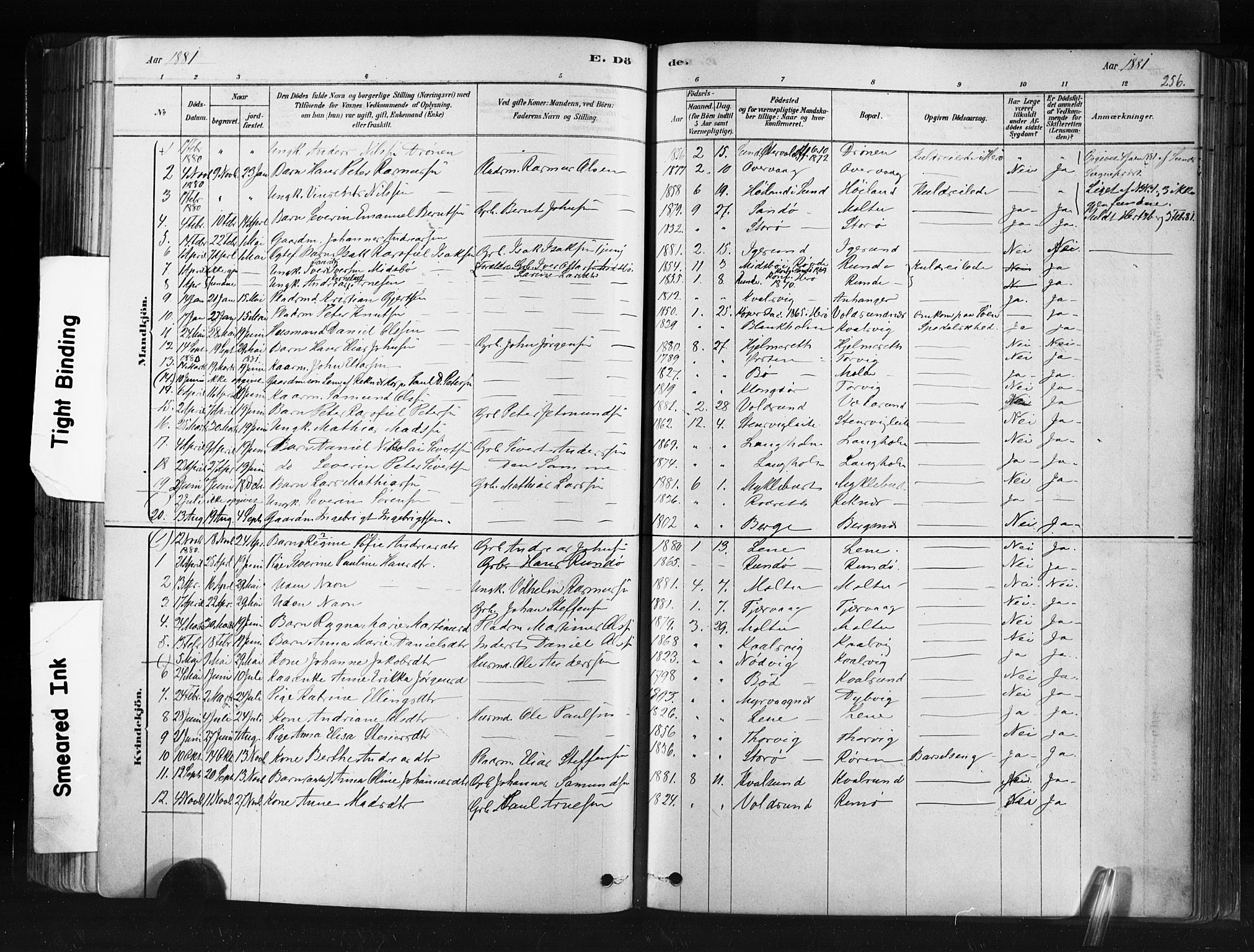 Ministerialprotokoller, klokkerbøker og fødselsregistre - Møre og Romsdal, SAT/A-1454/507/L0073: Parish register (official) no. 507A08, 1878-1904, p. 256
