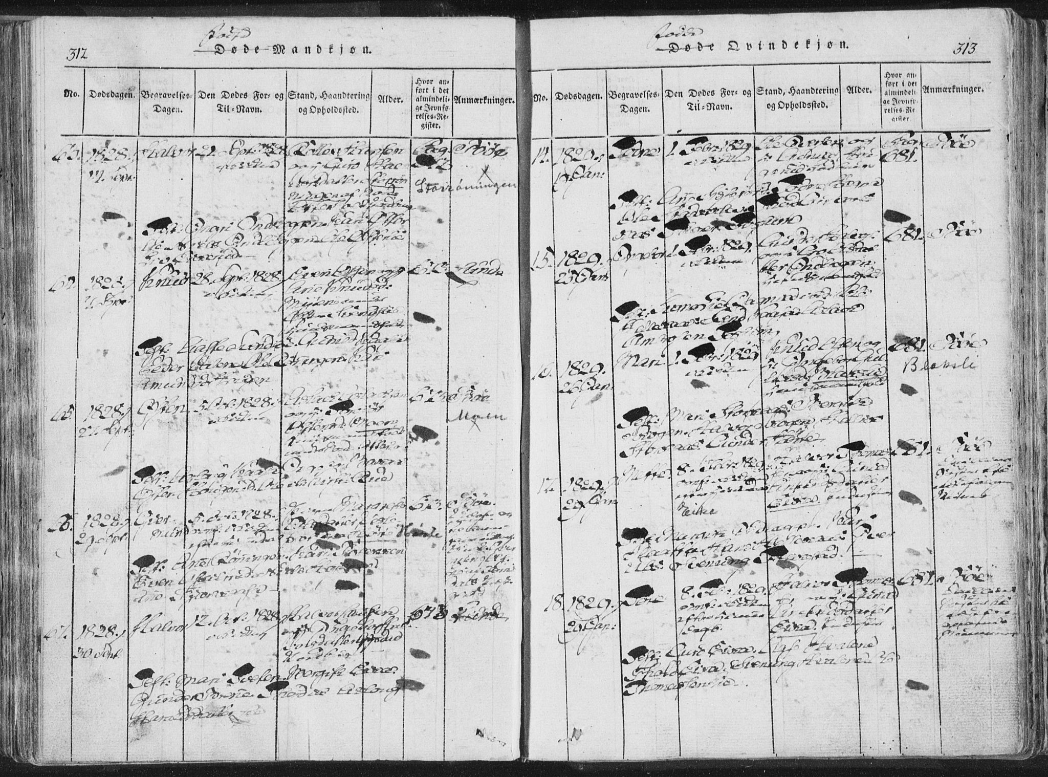 Bø kirkebøker, AV/SAKO-A-257/F/Fa/L0006: Parish register (official) no. 6, 1815-1831, p. 312-313