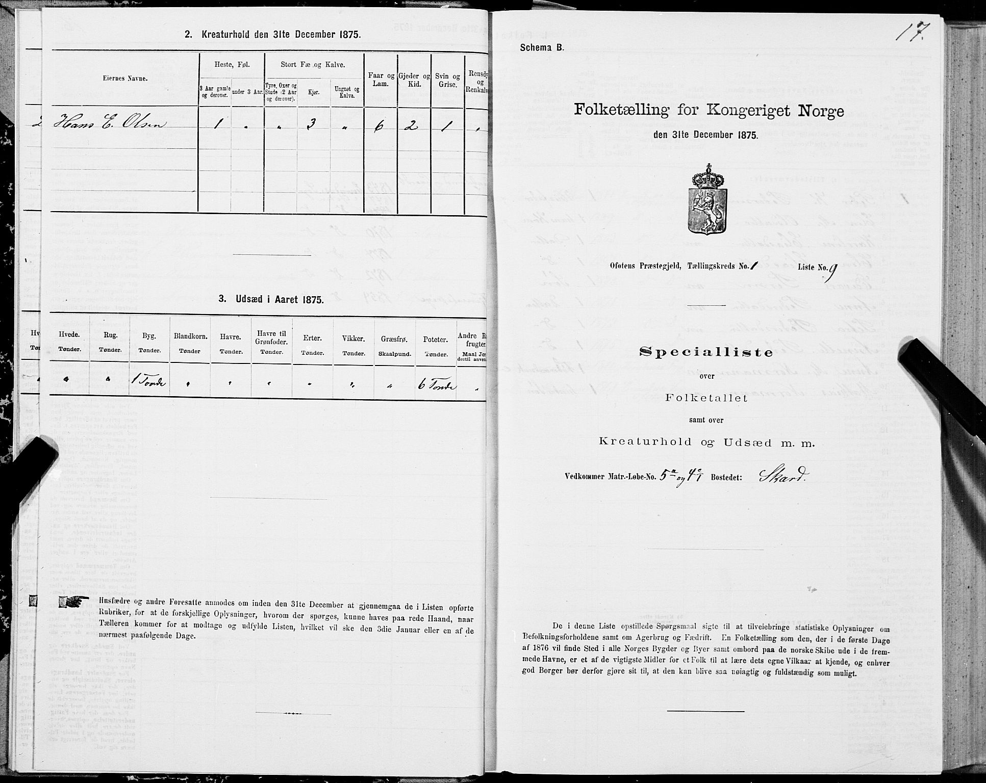 SAT, 1875 census for 1853P Ofoten, 1875, p. 1017