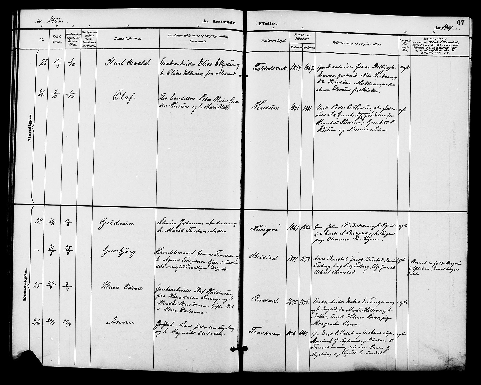 Alvdal prestekontor, AV/SAH-PREST-060/H/Ha/Hab/L0004: Parish register (copy) no. 4, 1894-1910, p. 67