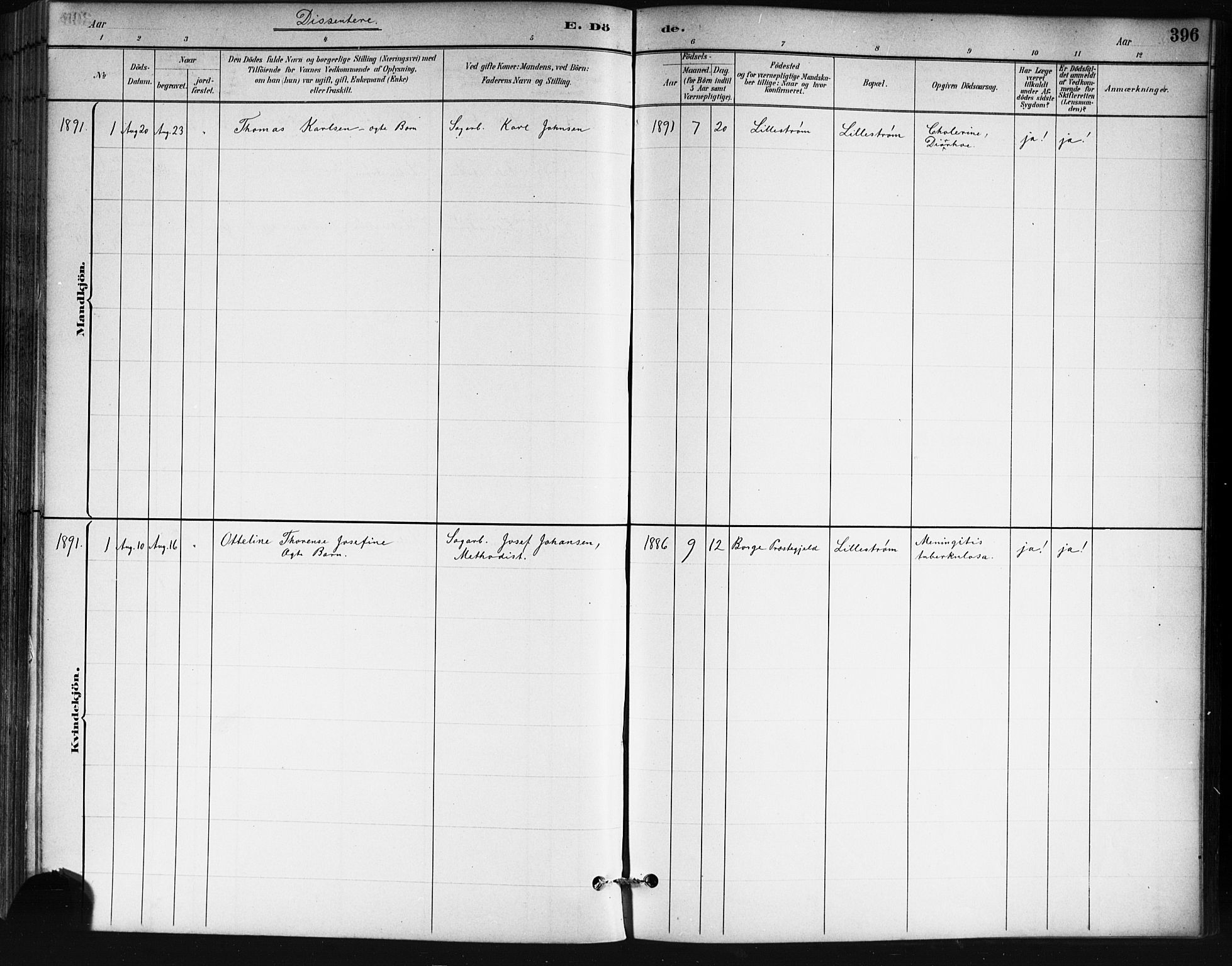 Skedsmo prestekontor Kirkebøker, AV/SAO-A-10033a/G/Ga/L0004: Parish register (copy) no. I 4, 1883-1895, p. 396