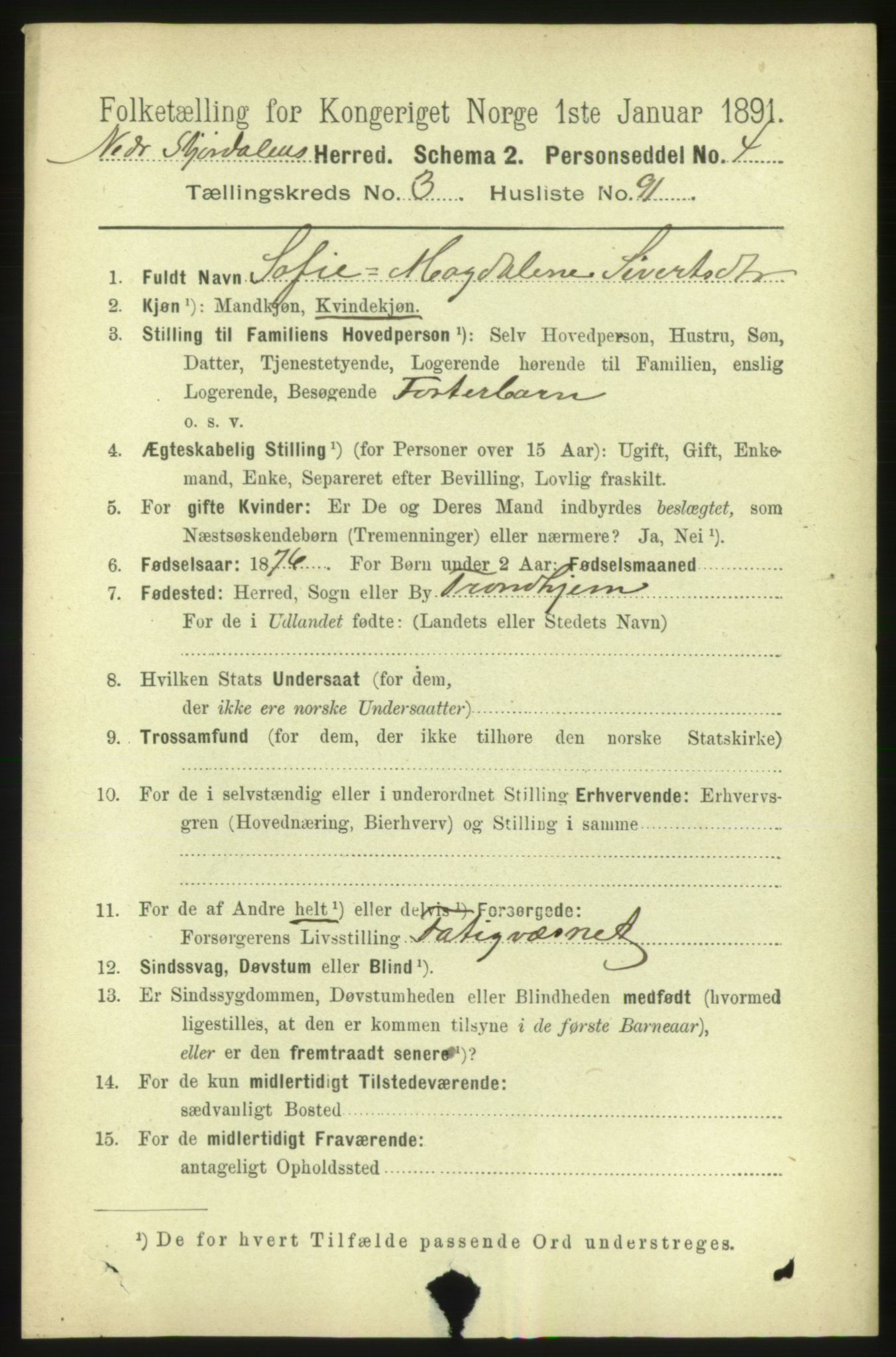 RA, 1891 census for 1714 Nedre Stjørdal, 1891, p. 1565