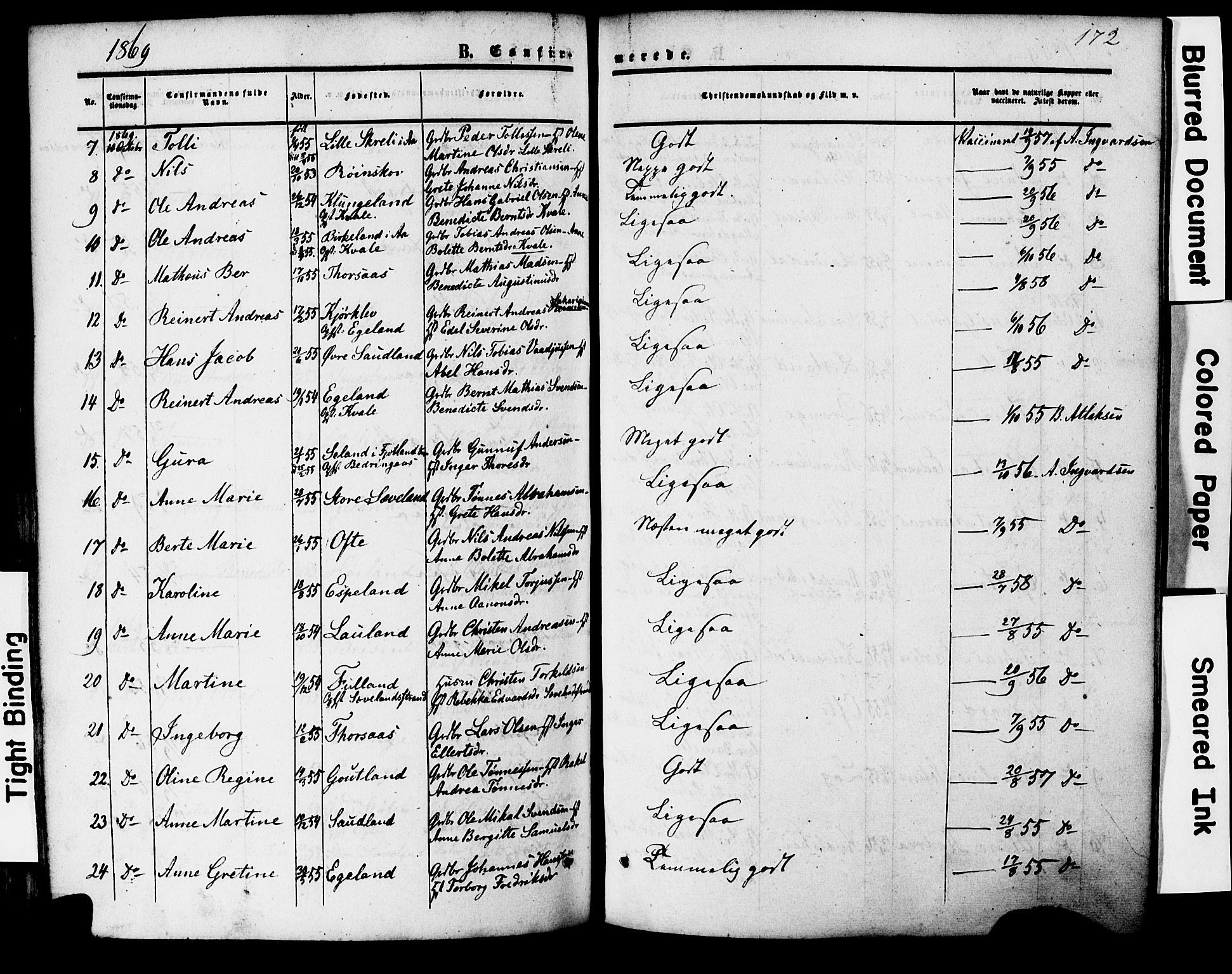 Herad sokneprestkontor, SAK/1111-0018/F/Fa/Faa/L0005: Parish register (official) no. A 5, 1853-1886, p. 172