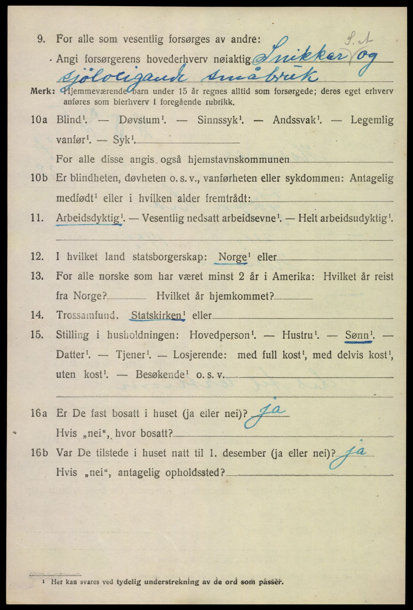 SAK, 1920 census for Hornnes, 1920, p. 1150