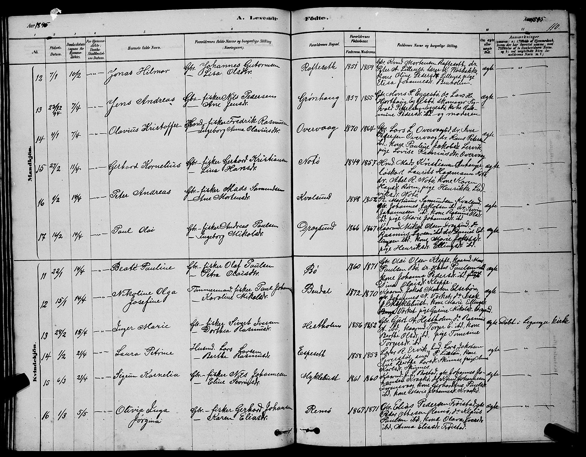 Ministerialprotokoller, klokkerbøker og fødselsregistre - Møre og Romsdal, AV/SAT-A-1454/507/L0081: Parish register (copy) no. 507C04, 1878-1898, p. 110