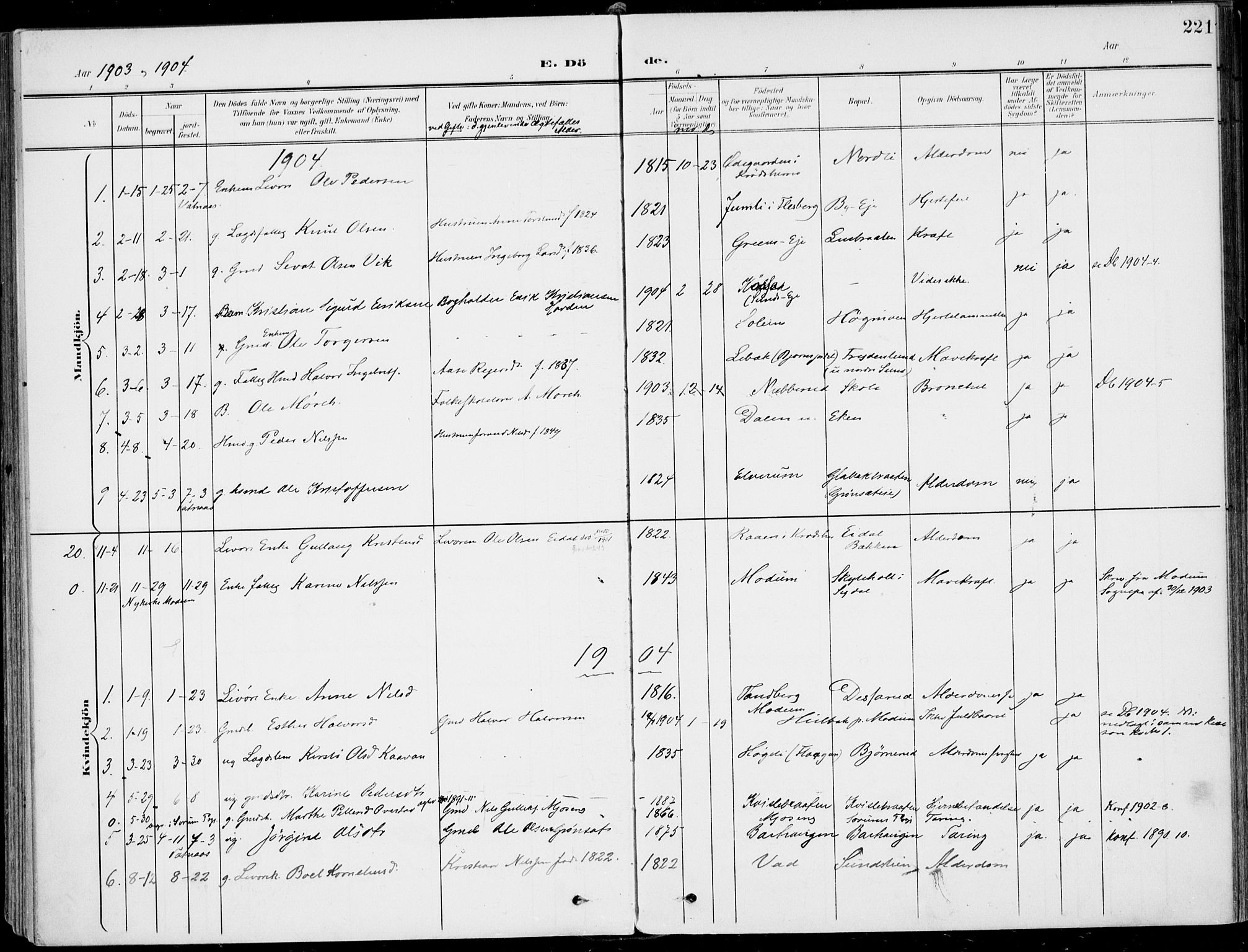 Sigdal kirkebøker, AV/SAKO-A-245/F/Fb/L0002: Parish register (official) no. II 2, 1901-1914, p. 221