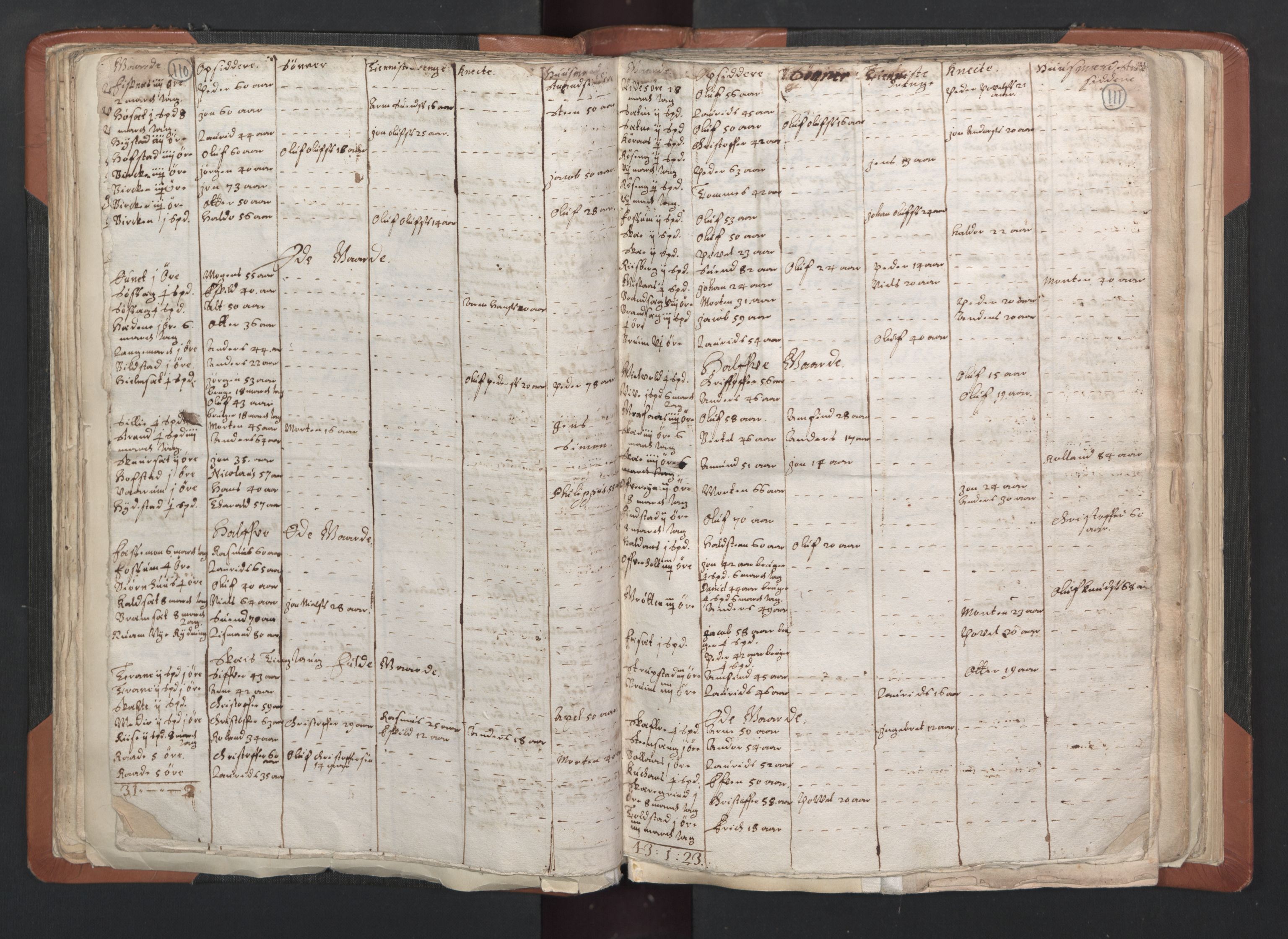 RA, Vicar's Census 1664-1666, no. 33: Innherad deanery, 1664-1666, p. 110-111