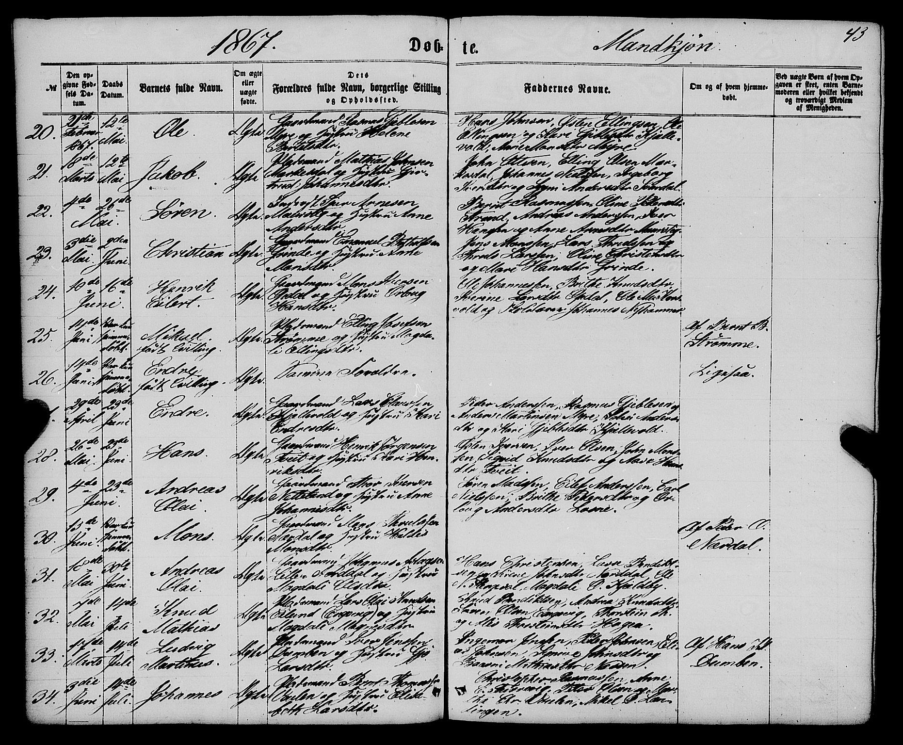 Gulen sokneprestembete, AV/SAB-A-80201/H/Haa/Haaa/L0022: Parish register (official) no. A 22, 1859-1869, p. 43