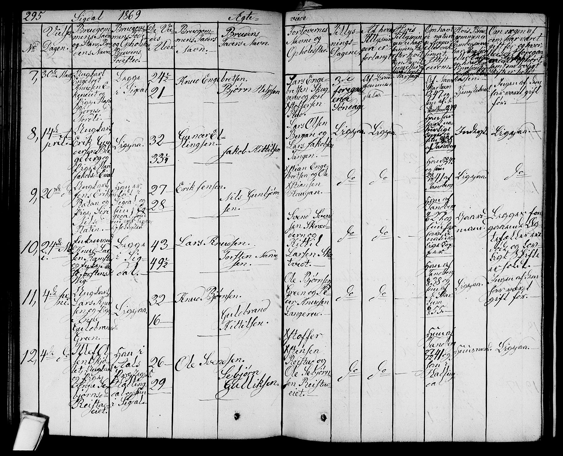 Sigdal kirkebøker, AV/SAKO-A-245/G/Ga/L0003: Parish register (copy) no. I 3, 1857-1878, p. 295