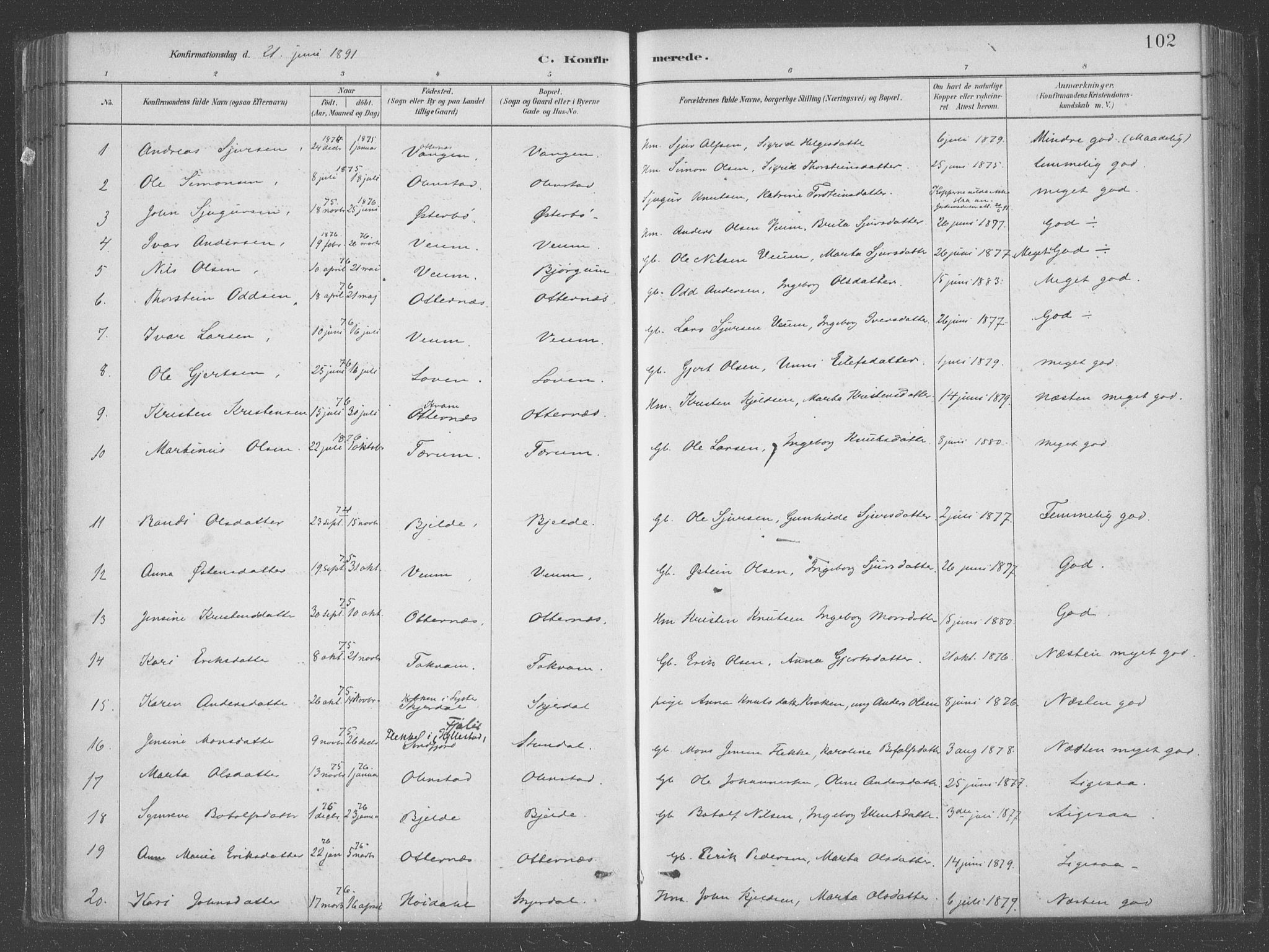 Aurland sokneprestembete, SAB/A-99937/H/Ha/Hab/L0001: Parish register (official) no. B  1, 1880-1909, p. 102