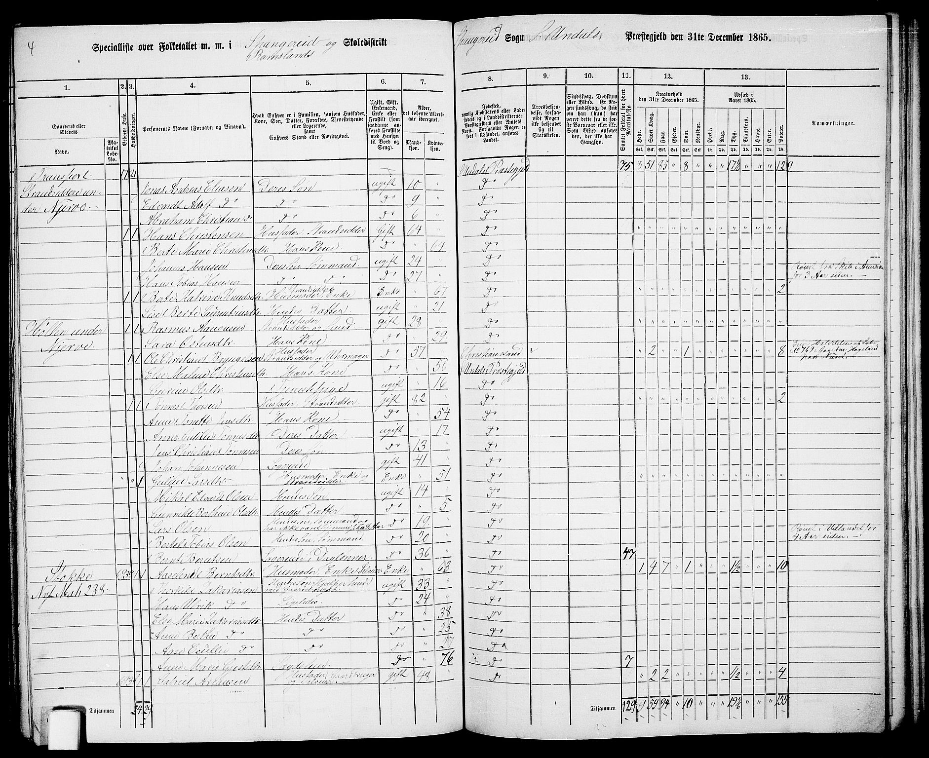 RA, 1865 census for Sør-Audnedal, 1865, p. 164