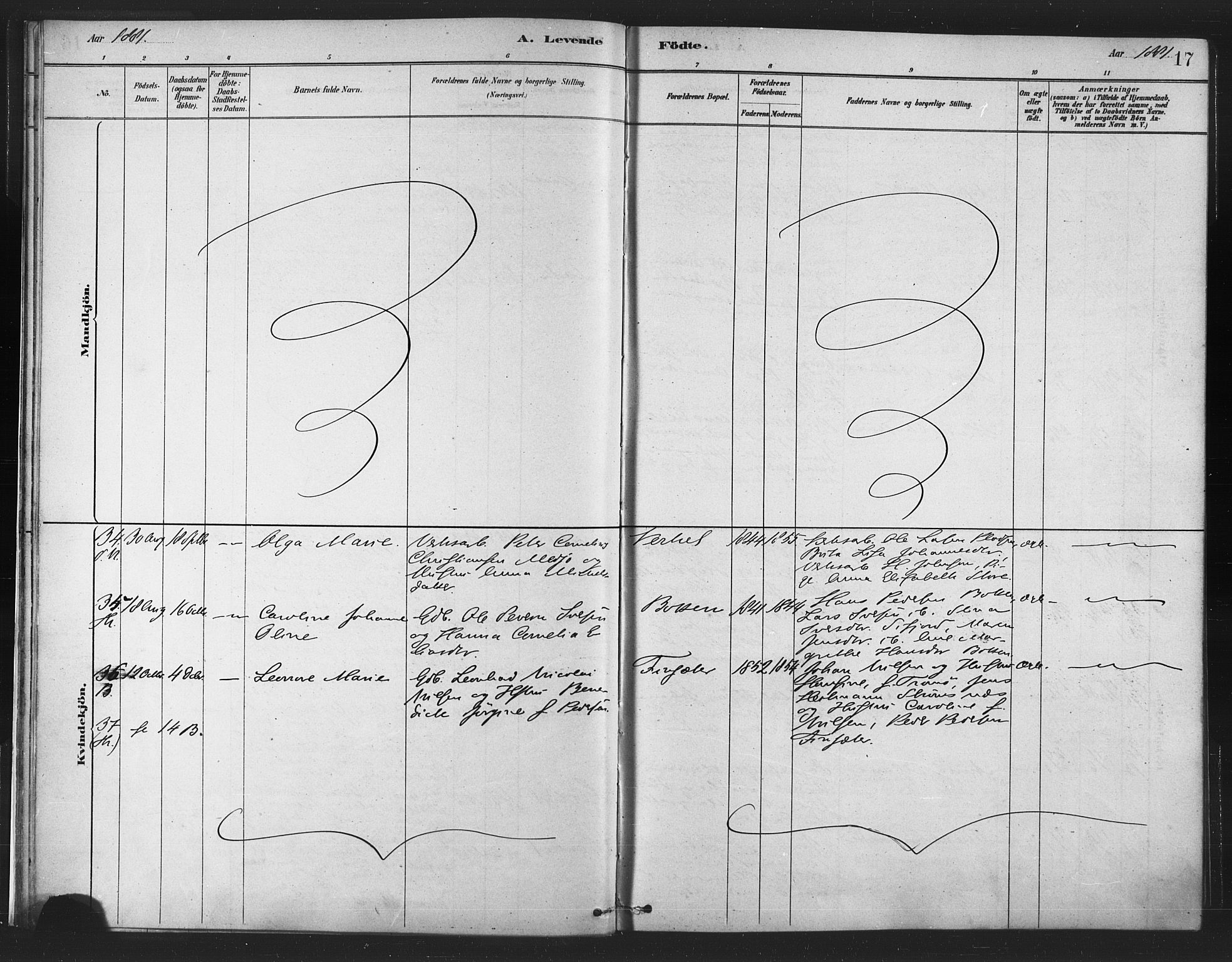 Berg sokneprestkontor, AV/SATØ-S-1318/G/Ga/Gaa/L0004kirke: Parish register (official) no. 4, 1880-1894, p. 17