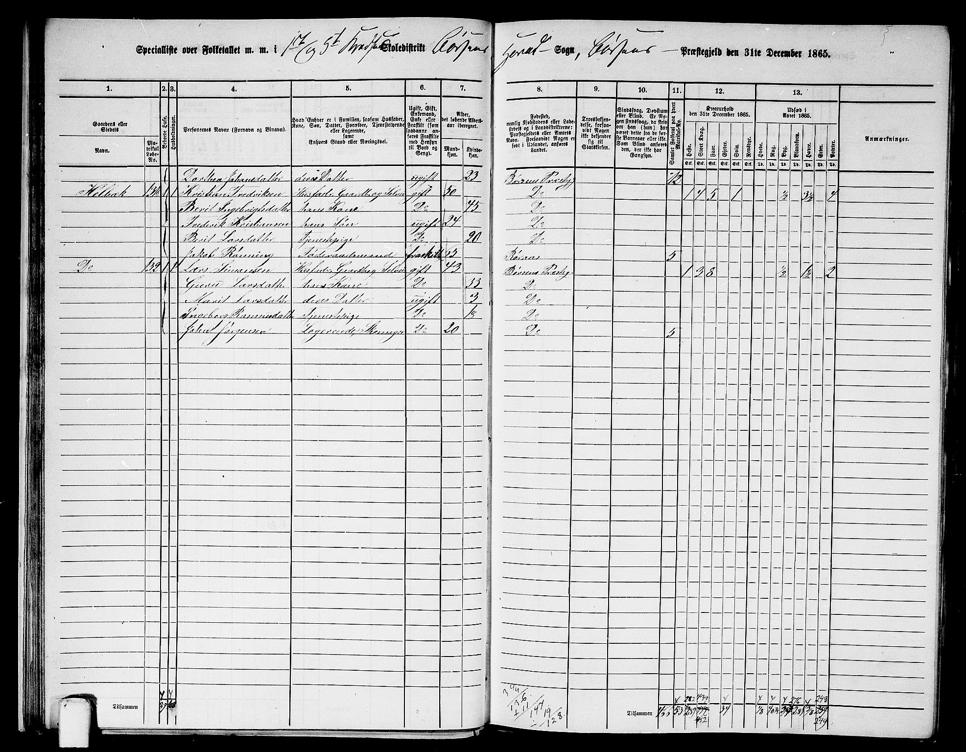 RA, 1865 census for Børsa, 1865, p. 29