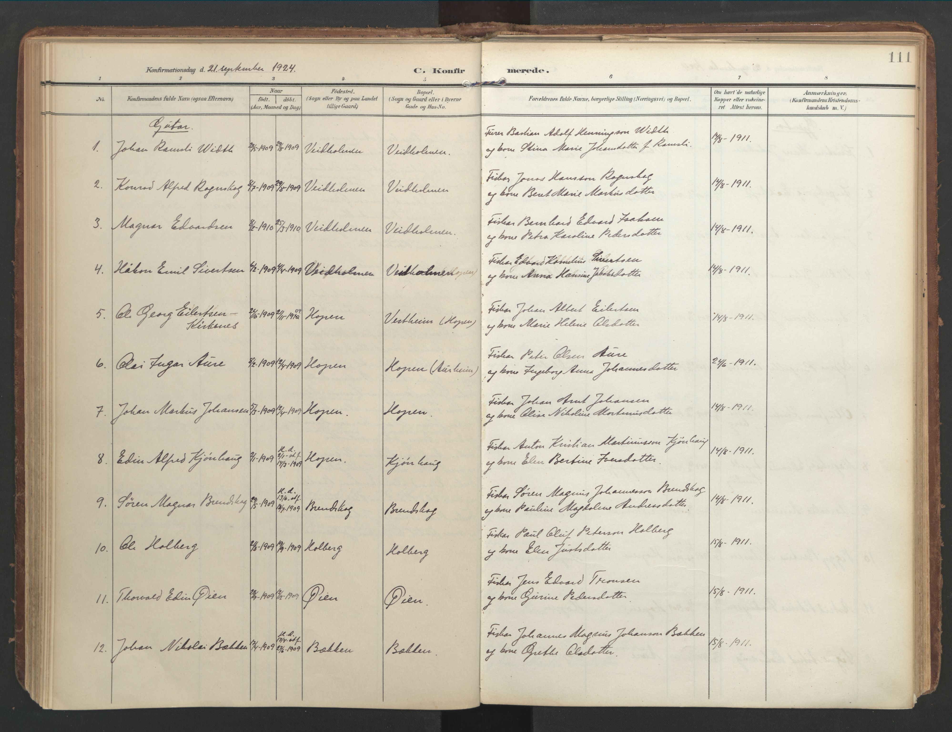 Ministerialprotokoller, klokkerbøker og fødselsregistre - Møre og Romsdal, AV/SAT-A-1454/583/L0955: Parish register (official) no. 583A02, 1907-1926, p. 111