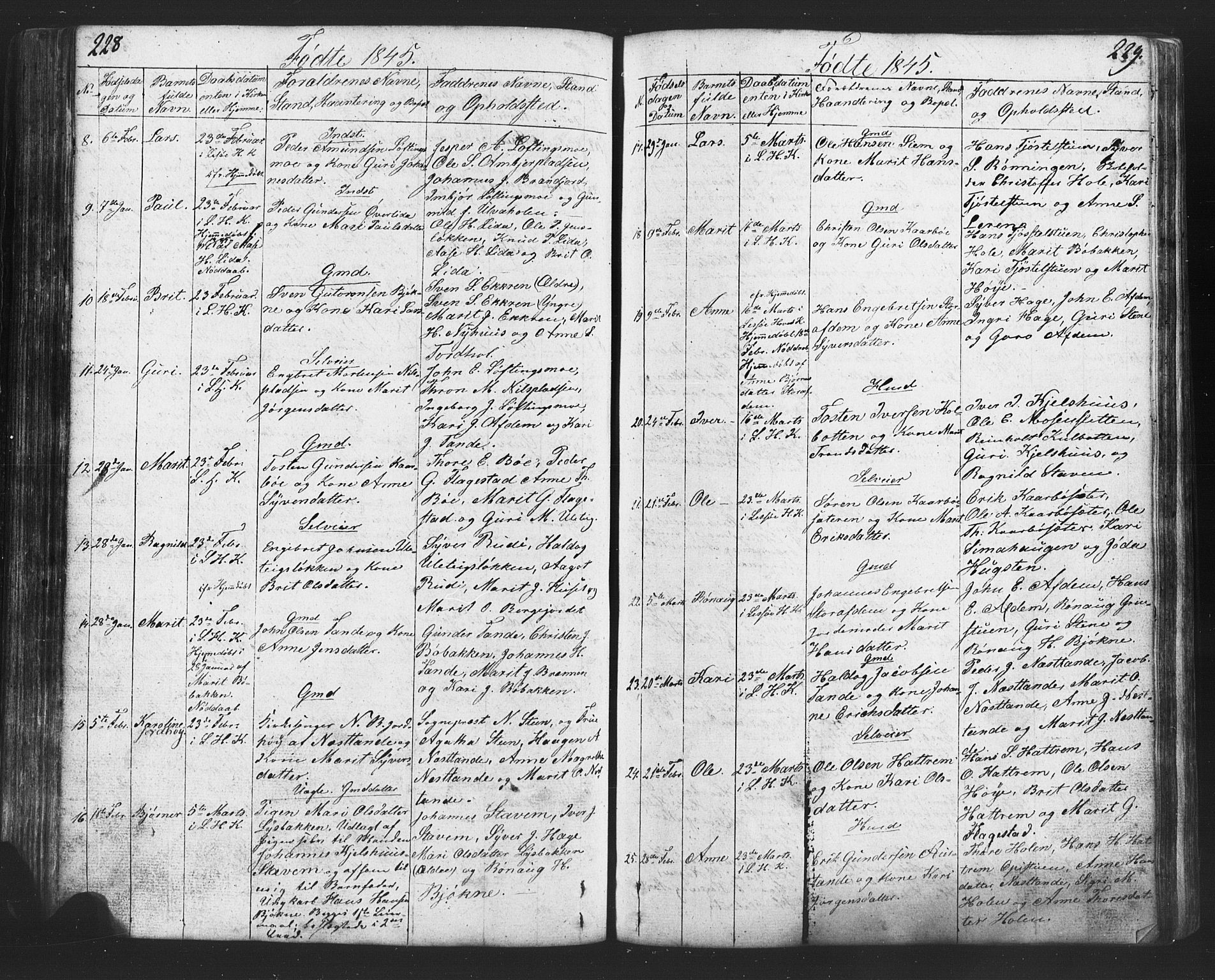 Lesja prestekontor, SAH/PREST-068/H/Ha/Hab/L0002: Parish register (copy) no. 2, 1832-1850, p. 228-229