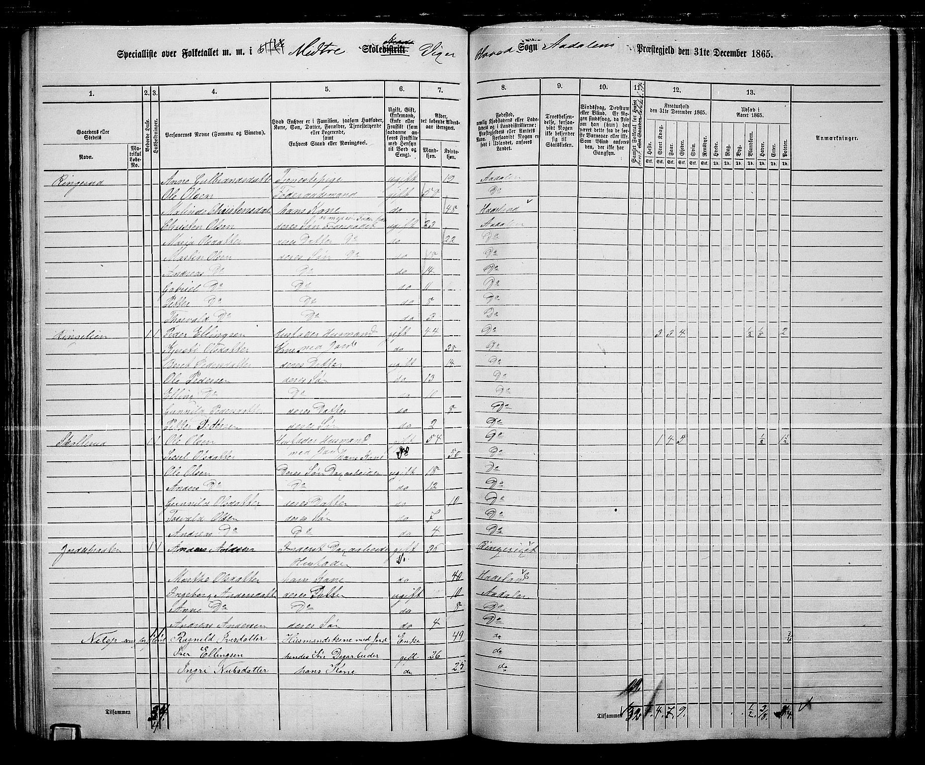 RA, 1865 census for Ådal, 1865, p. 67