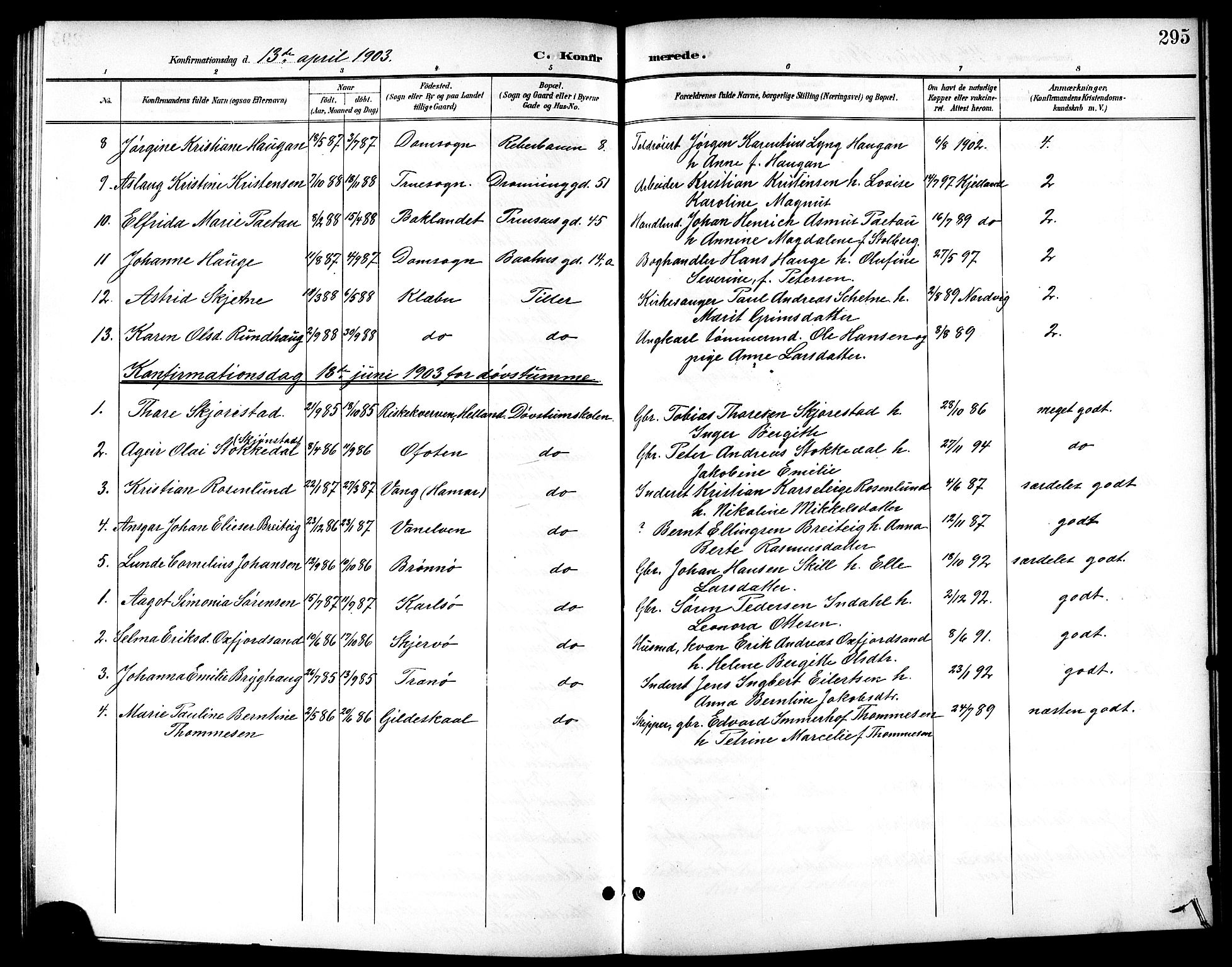 Ministerialprotokoller, klokkerbøker og fødselsregistre - Sør-Trøndelag, AV/SAT-A-1456/601/L0094: Parish register (copy) no. 601C12, 1898-1911, p. 295