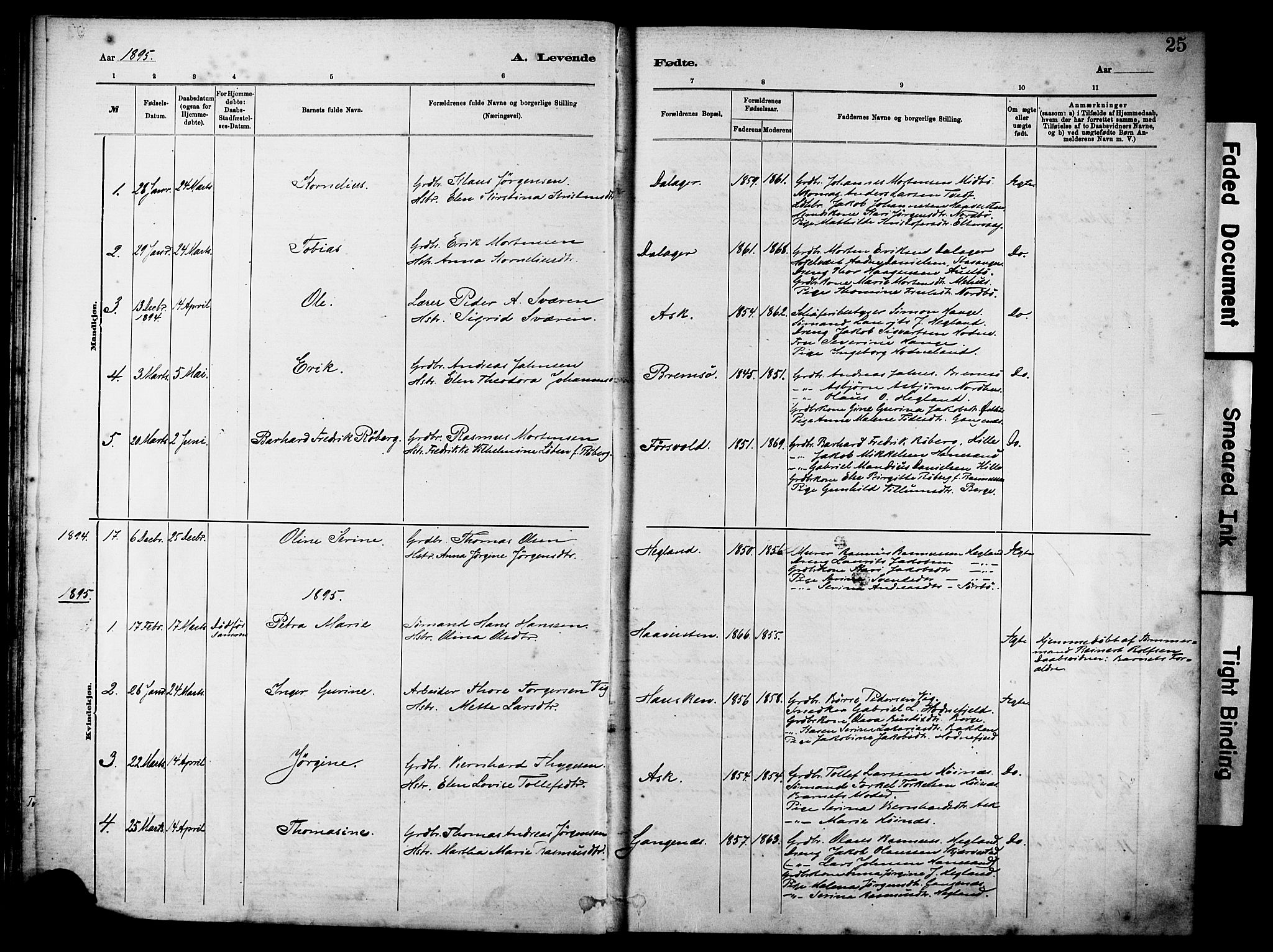 Rennesøy sokneprestkontor, SAST/A -101827/H/Ha/Haa/L0012: Parish register (official) no. A 13, 1885-1917, p. 25