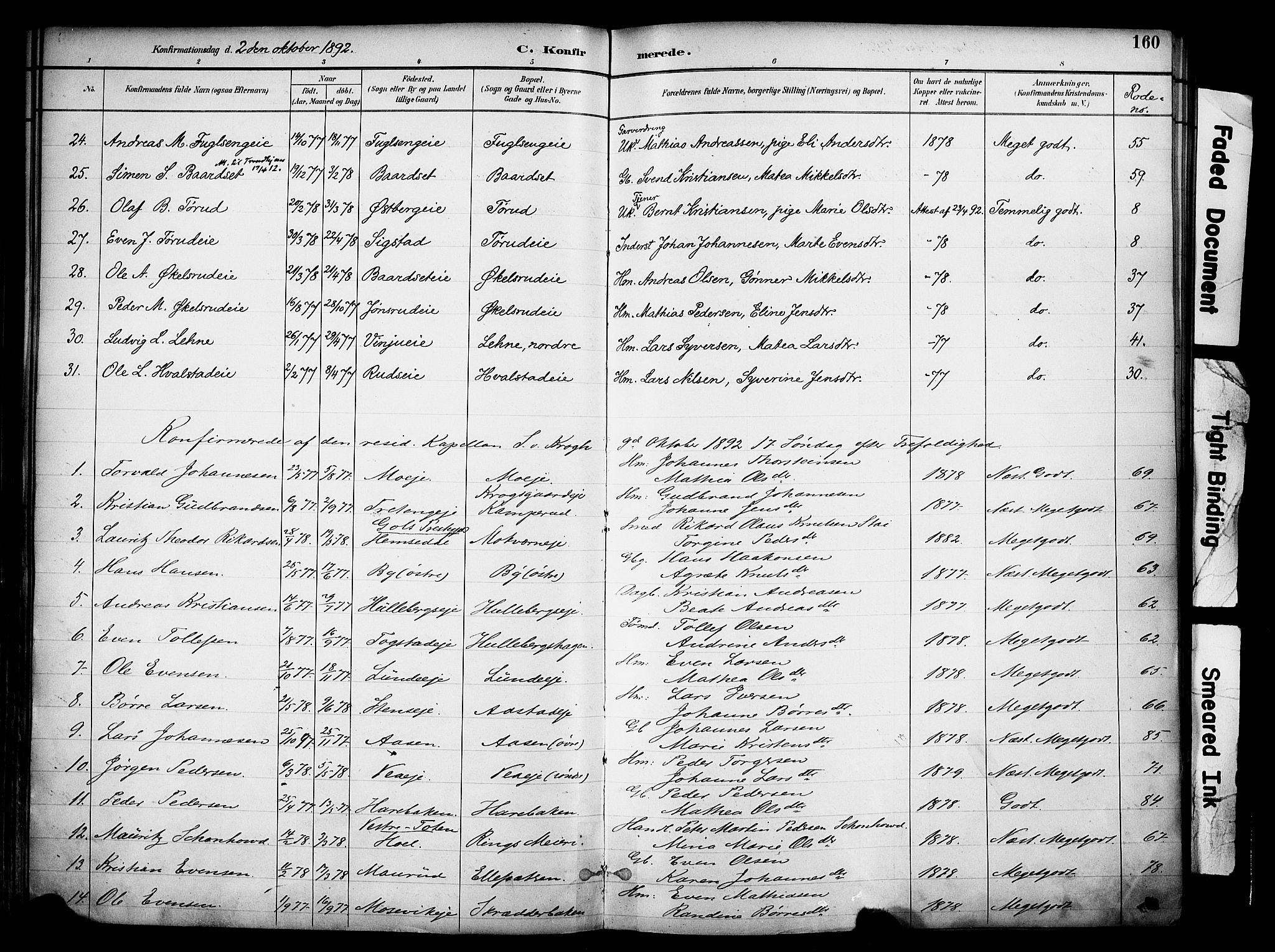 Ringsaker prestekontor, SAH/PREST-014/K/Ka/L0017: Parish register (official) no. 17, 1891-1902, p. 160