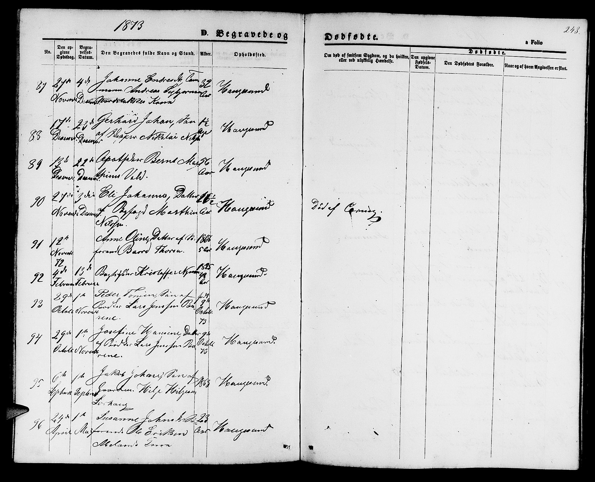 Haugesund sokneprestkontor, AV/SAST-A -101863/H/Ha/Hab/L0001: Parish register (copy) no. B 1, 1873-1881, p. 243