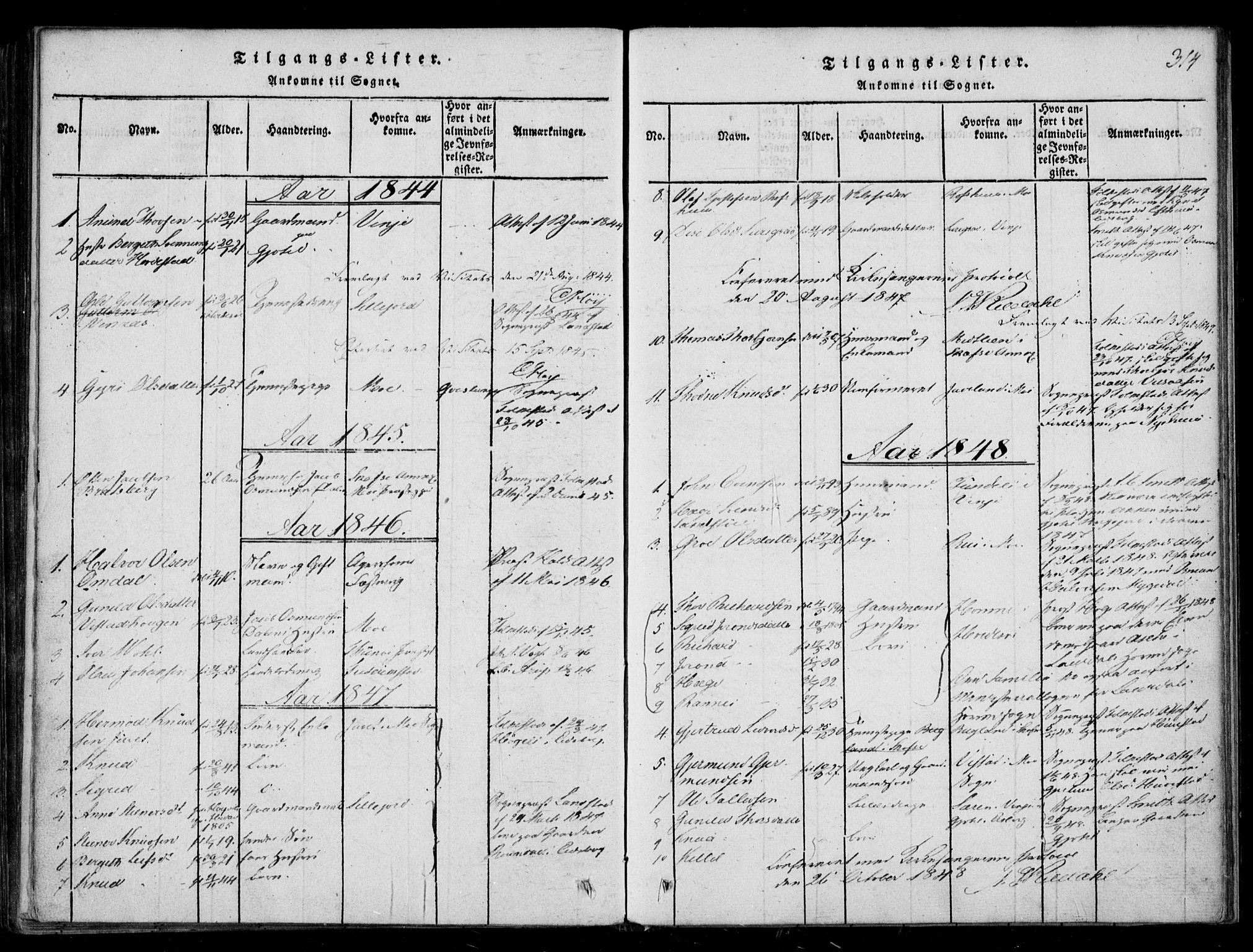 Lårdal kirkebøker, AV/SAKO-A-284/F/Fb/L0001: Parish register (official) no. II 1, 1815-1860, p. 314