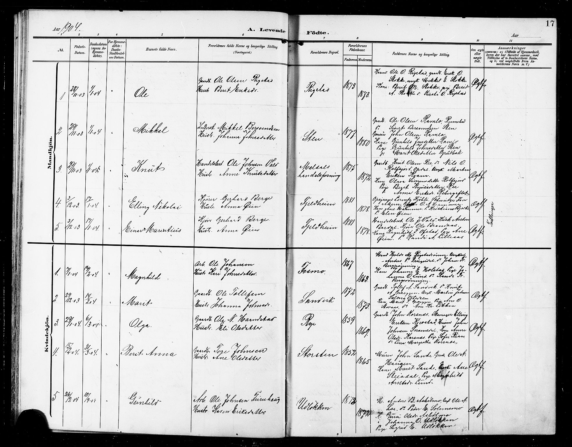 Ministerialprotokoller, klokkerbøker og fødselsregistre - Sør-Trøndelag, SAT/A-1456/672/L0864: Parish register (copy) no. 672C03, 1902-1914, p. 17