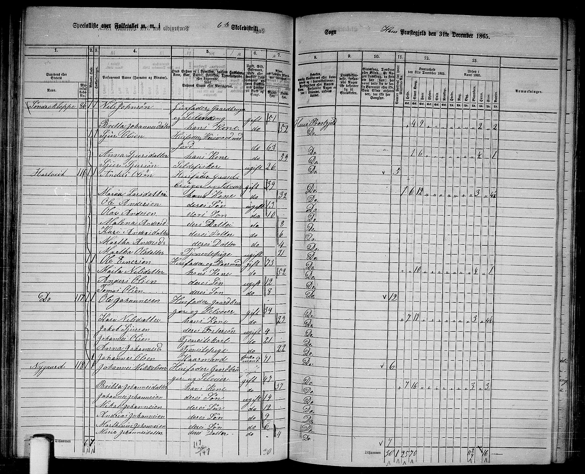 RA, 1865 census for Haus, 1865, p. 118