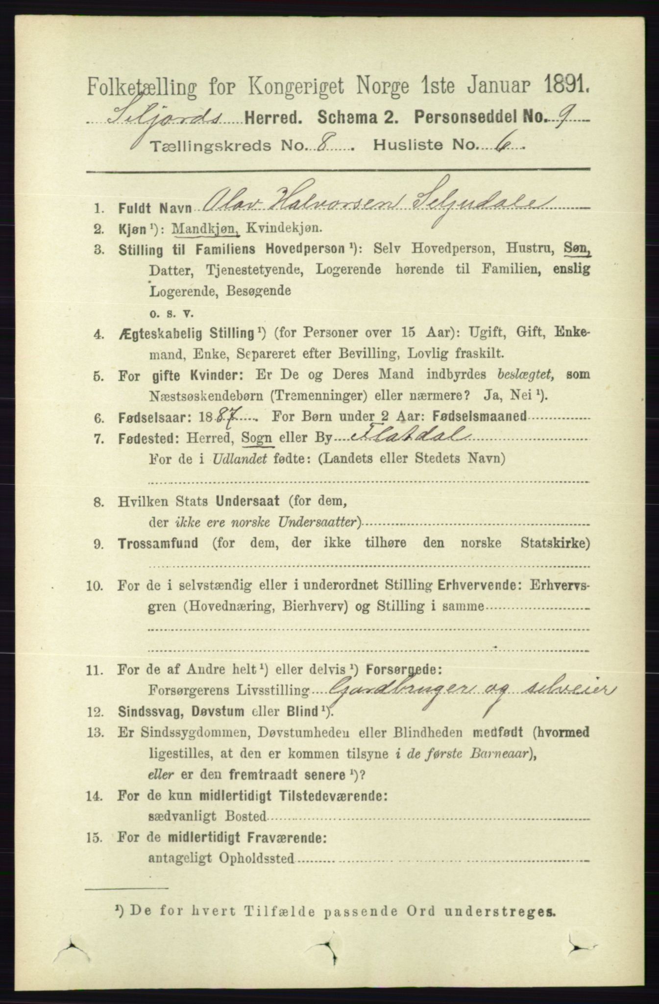 RA, 1891 census for 0828 Seljord, 1891, p. 2904