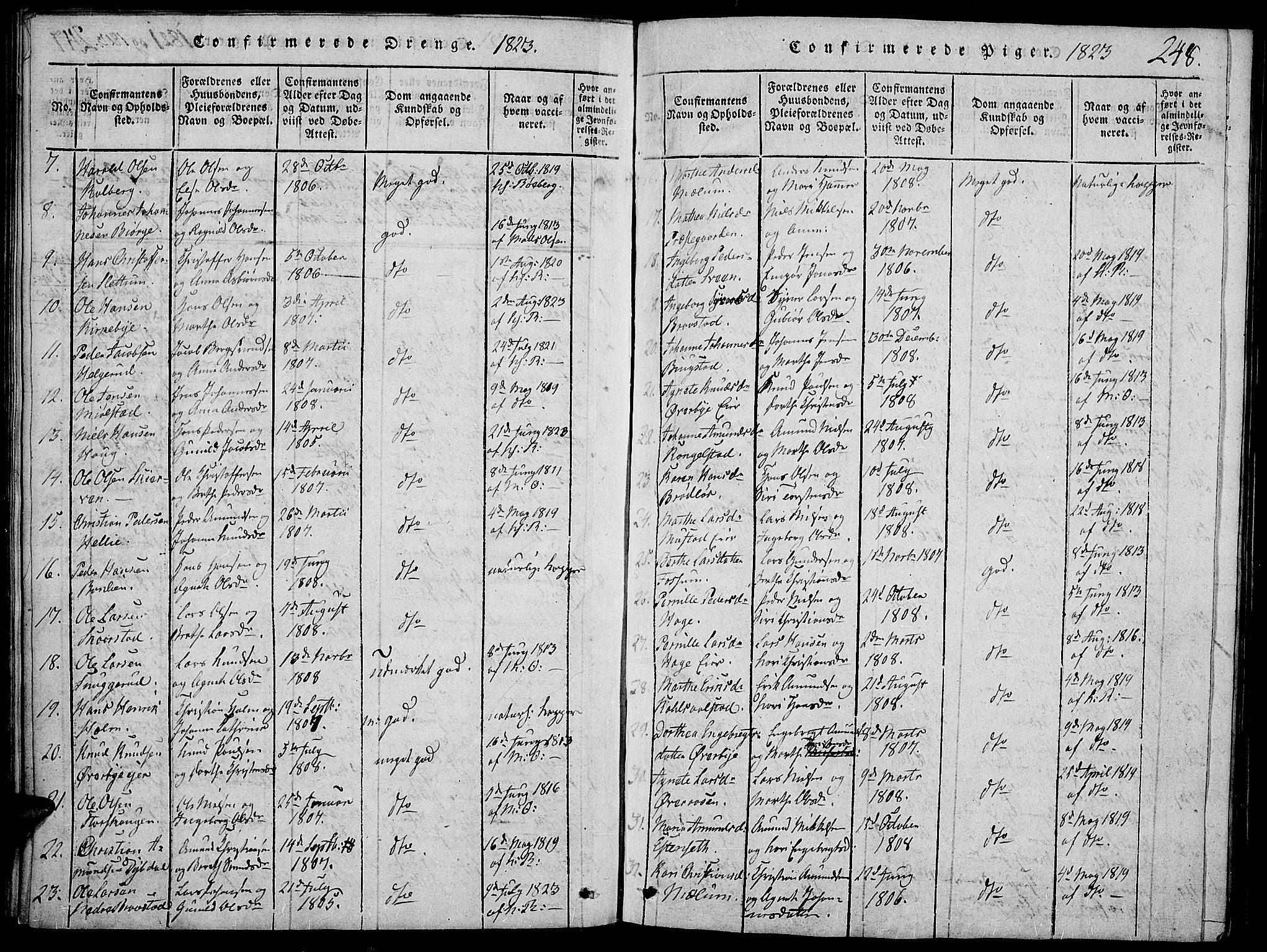 Vardal prestekontor, SAH/PREST-100/H/Ha/Haa/L0004: Parish register (official) no. 4, 1814-1831, p. 248a