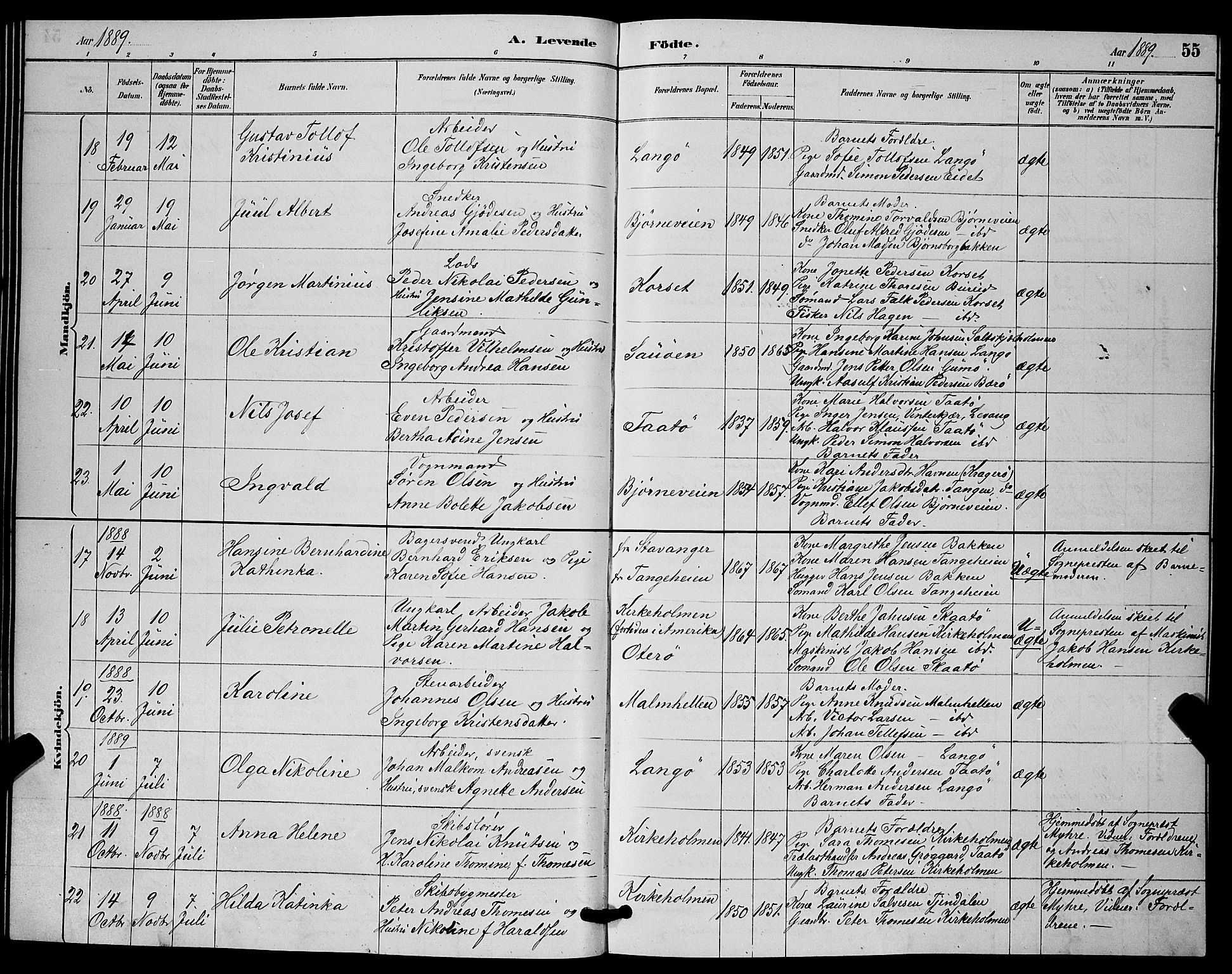 Skåtøy kirkebøker, AV/SAKO-A-304/G/Ga/L0003: Parish register (copy) no. I 3, 1884-1898, p. 55