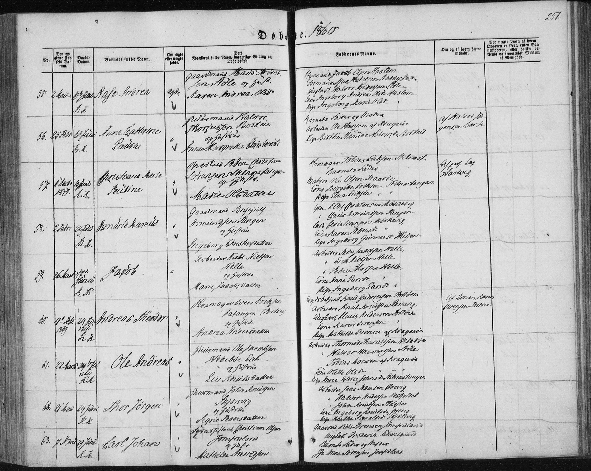 Sannidal kirkebøker, SAKO/A-296/F/Fa/L0008: Parish register (official) no. 8, 1847-1862, p. 251