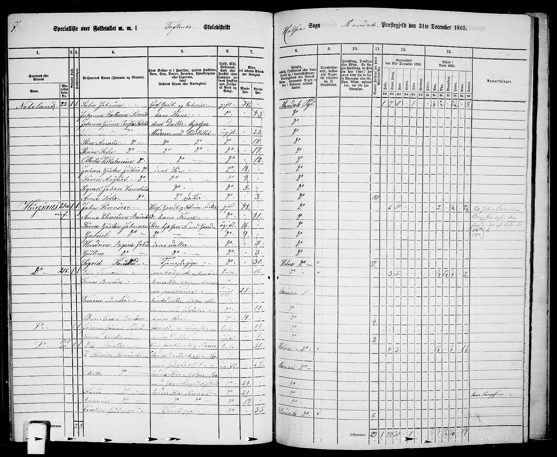 RA, 1865 census for Mandal/Halse og Harkmark, 1865, p. 116