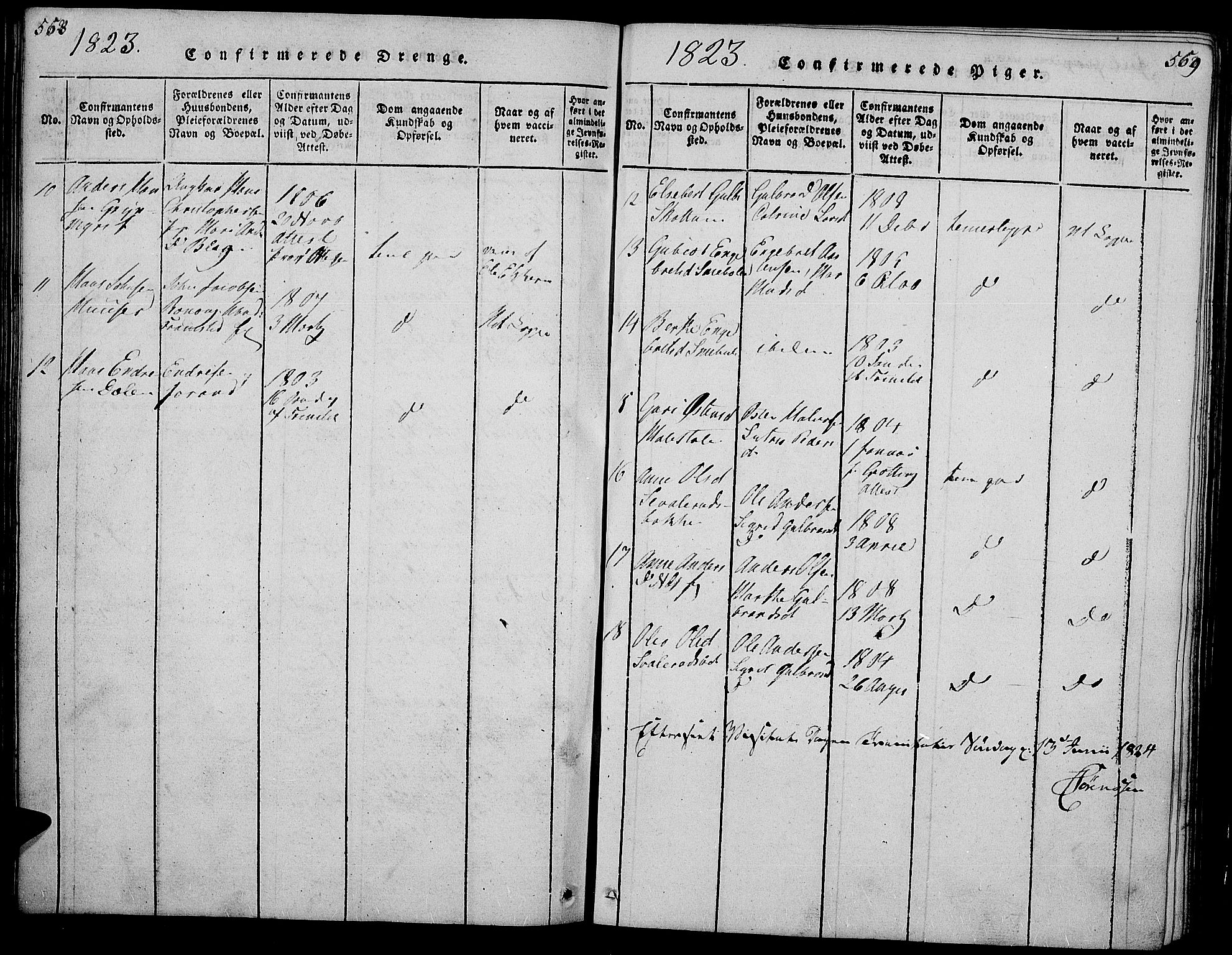 Gran prestekontor, SAH/PREST-112/H/Ha/Hab/L0001: Parish register (copy) no. 1, 1815-1824, p. 558-559