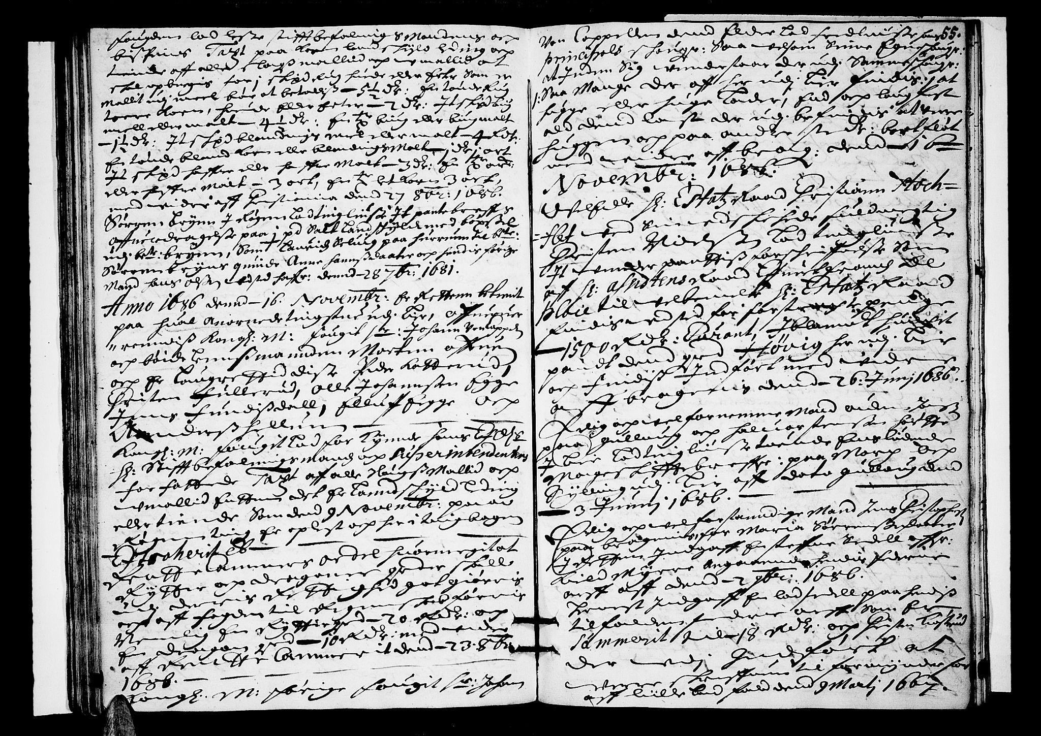 Lier, Røyken og Hurum sorenskriveri, SAKO/A-89/F/Fa/L0027: Tingbok, 1686, p. 55